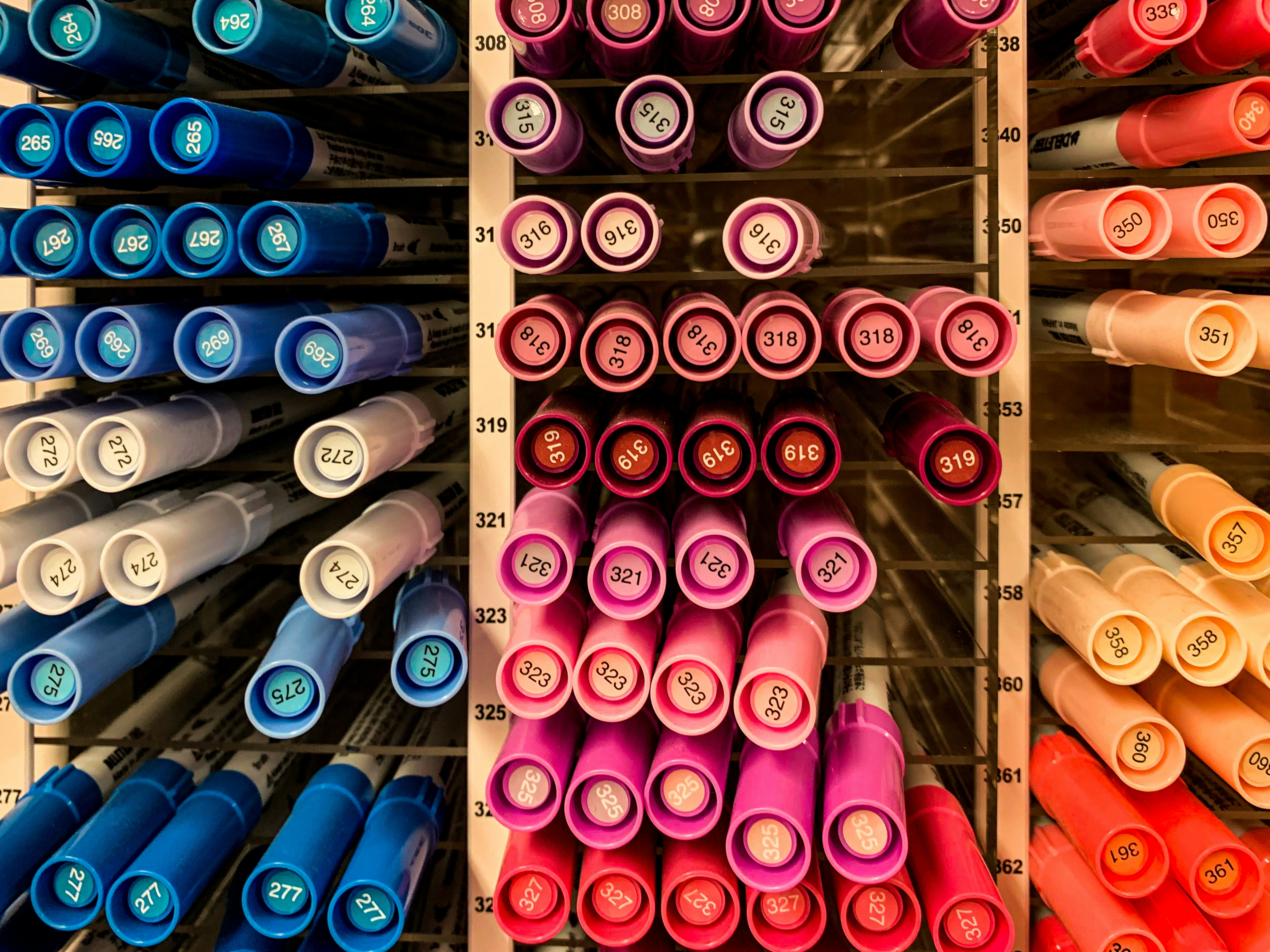 Photo by earl_plannerzone