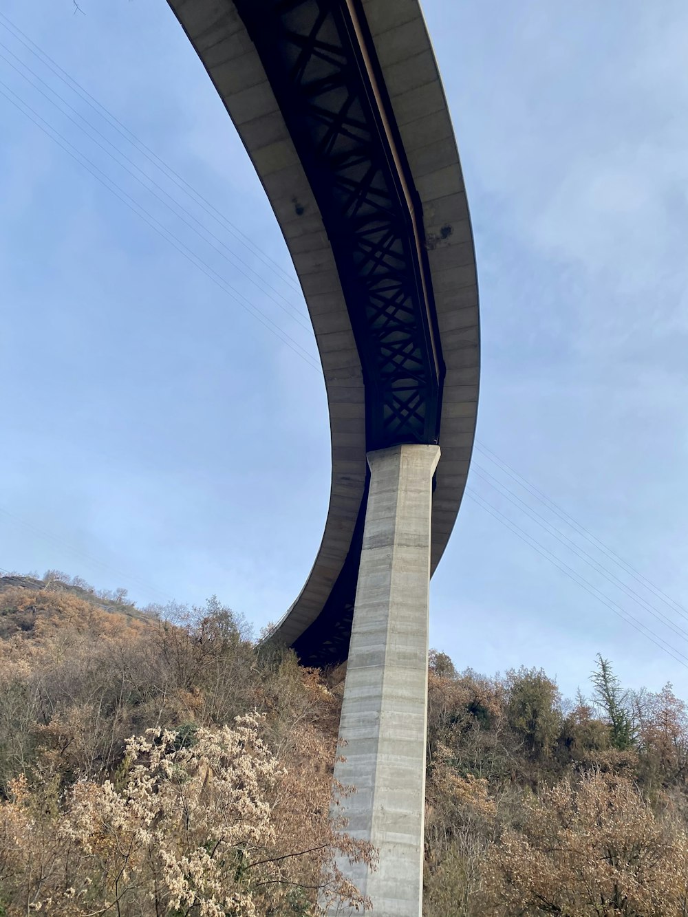 gray concrete bridge over green trees during daytime