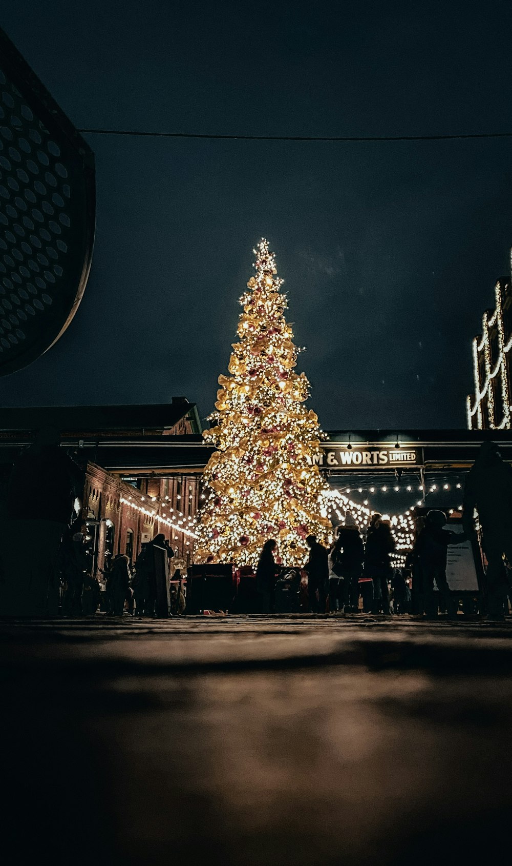 夜間にライトアップされたクリスマスツリーの近くを歩く人々