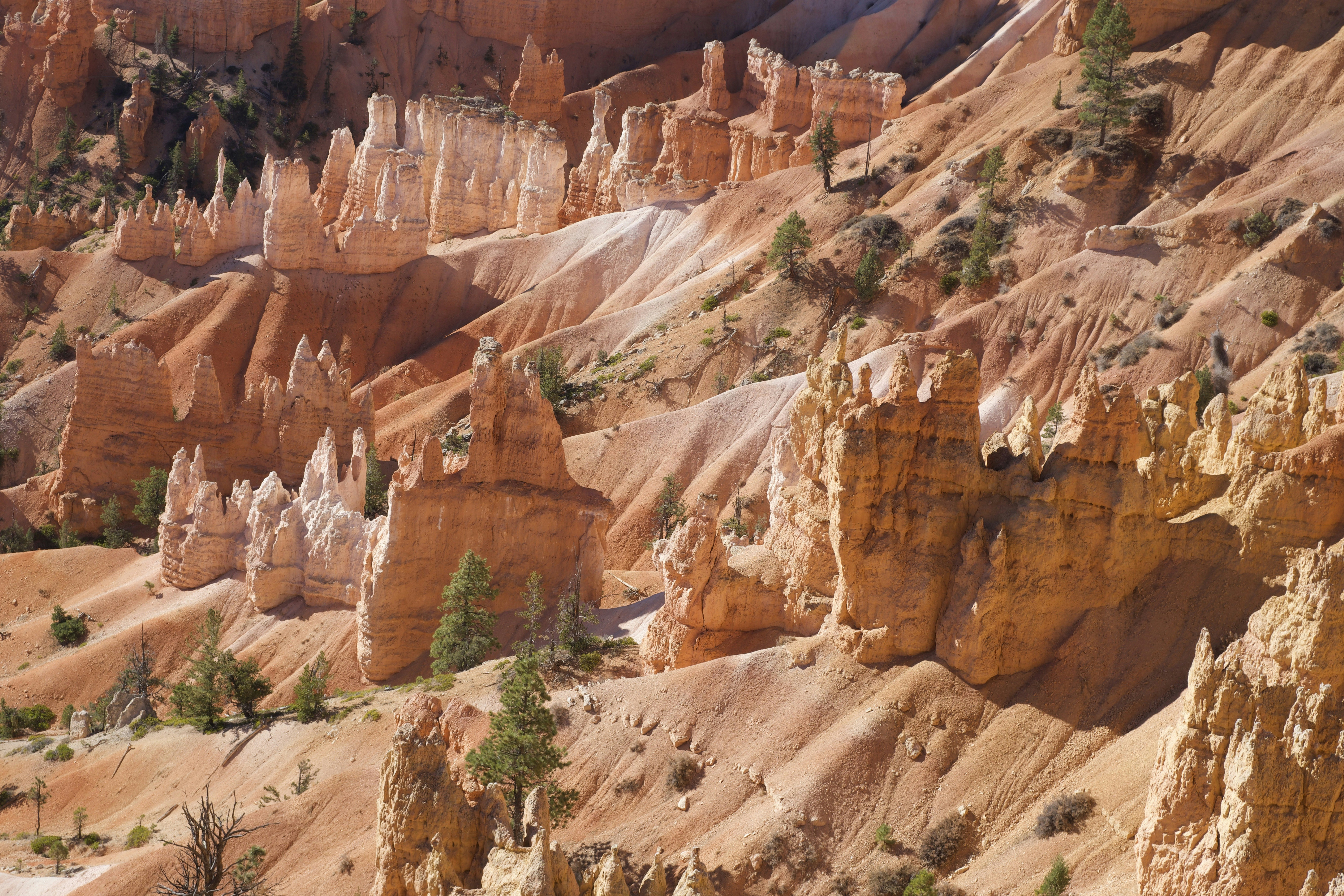 brown rock formation during daytime, 