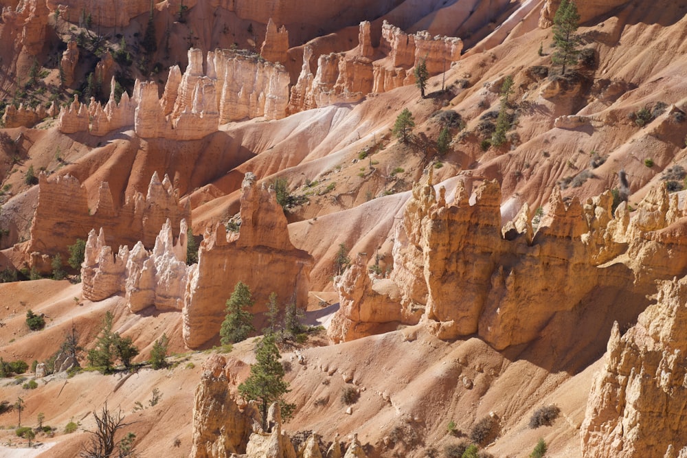 brown rock formation during daytime