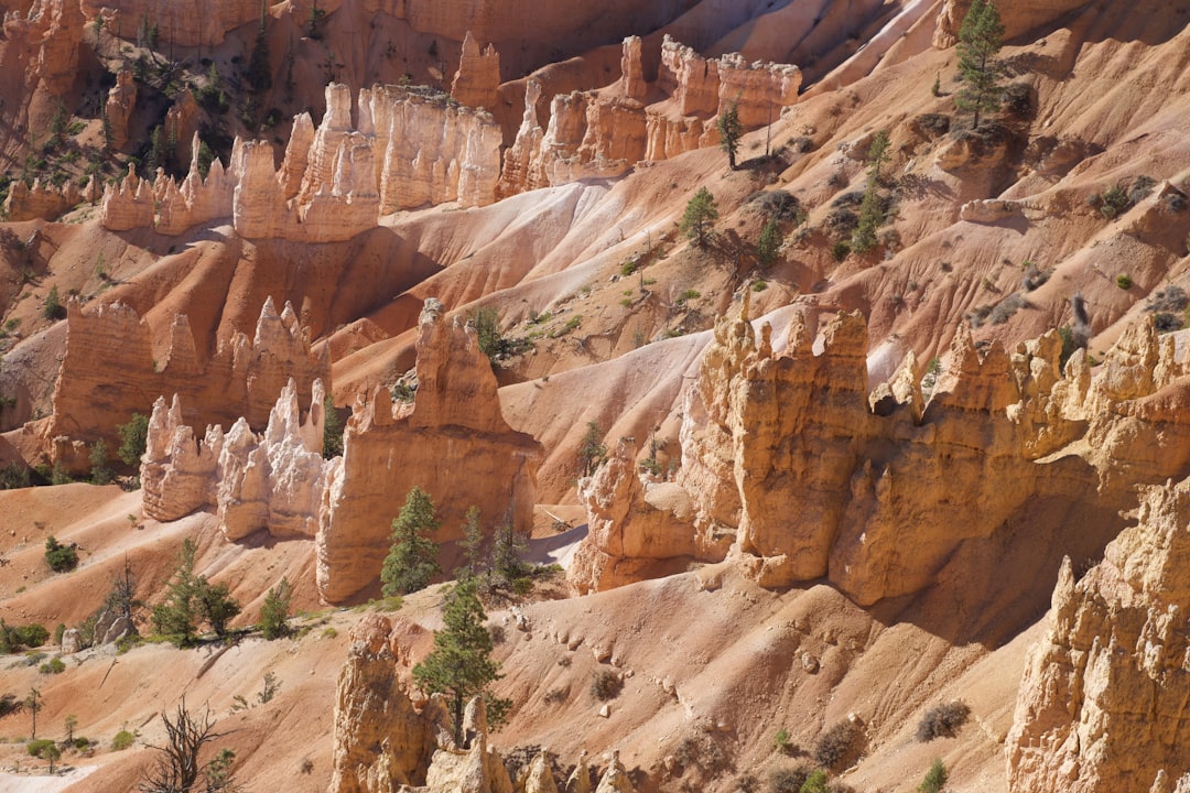 7 Unforgettable Adventures to Discover in Southern Utah's Untamed L… — 7 Unforgettable Adventures to Discover in