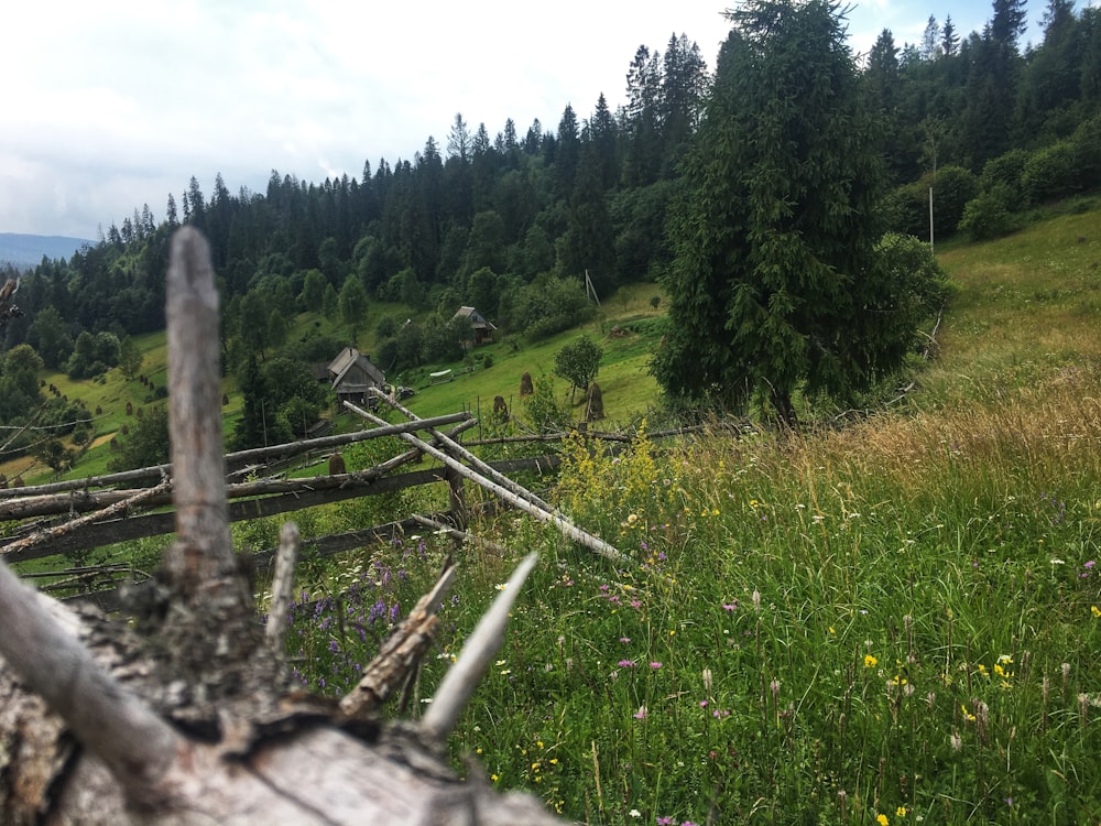 a wooden fence sitting on top of a lush green hillside