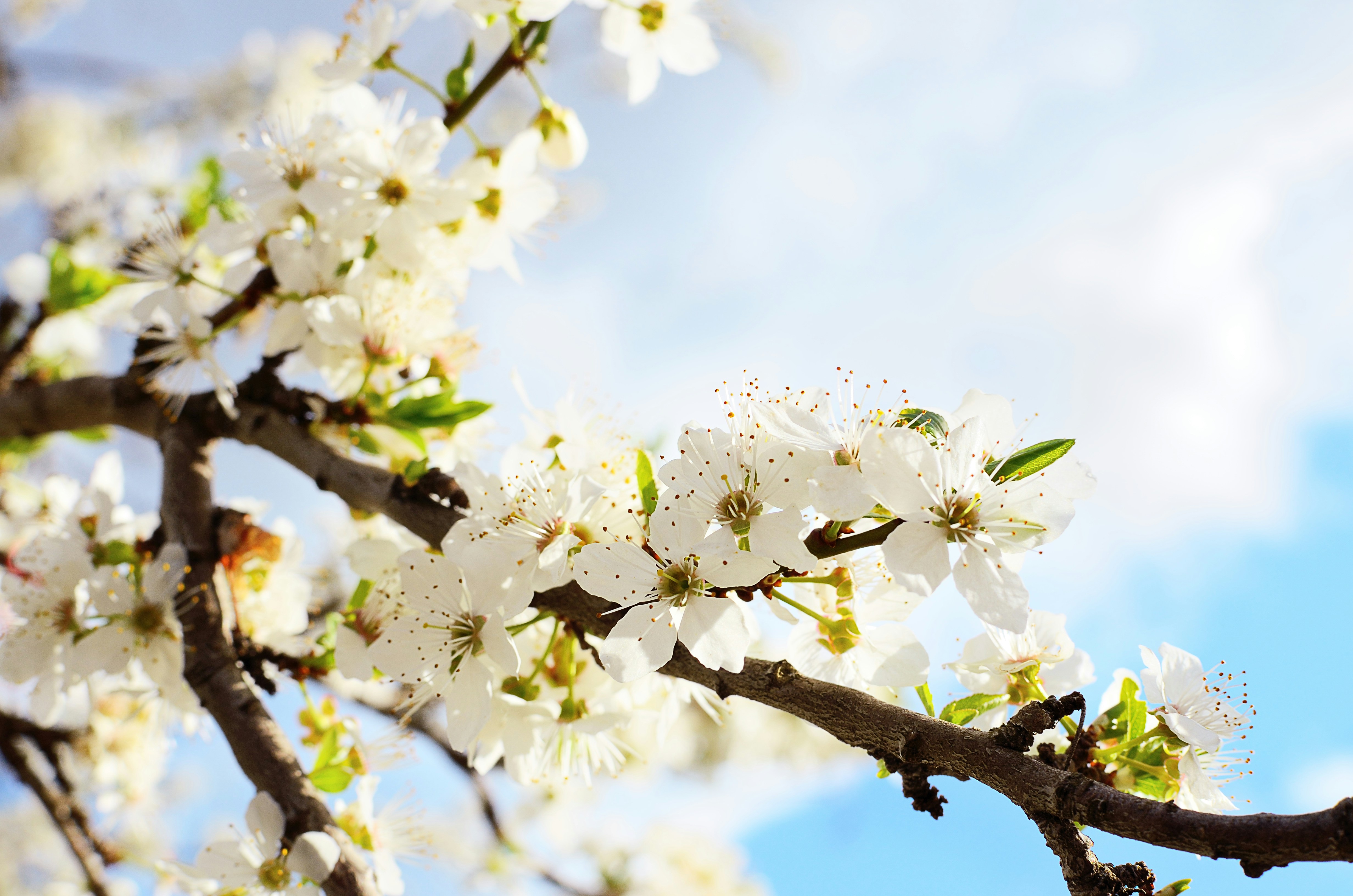 Photo by magneticlab