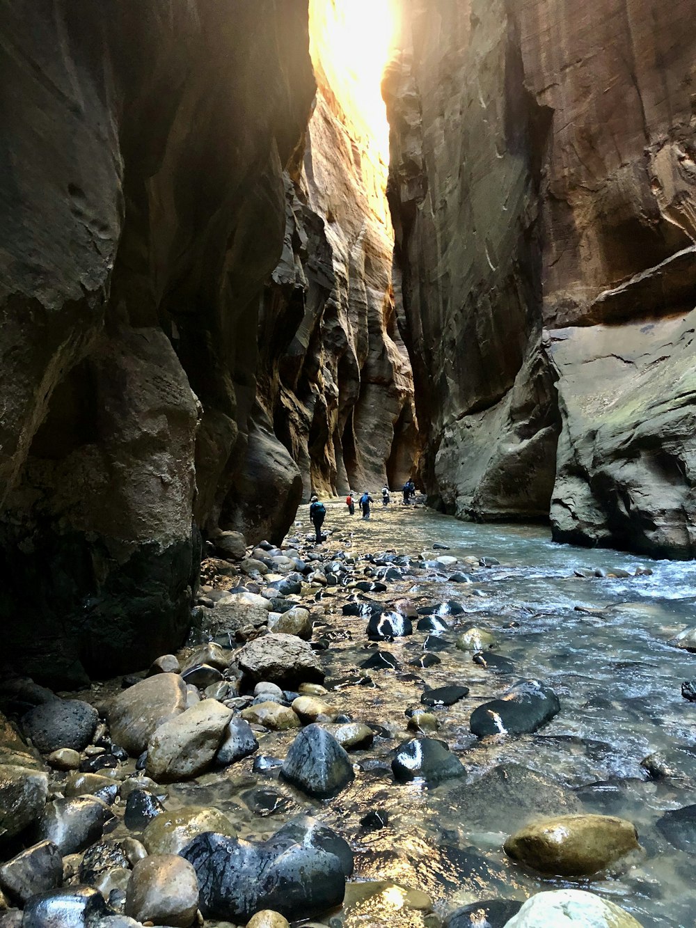 Persone nel fiume tra le montagne rocciose brune durante il giorno
