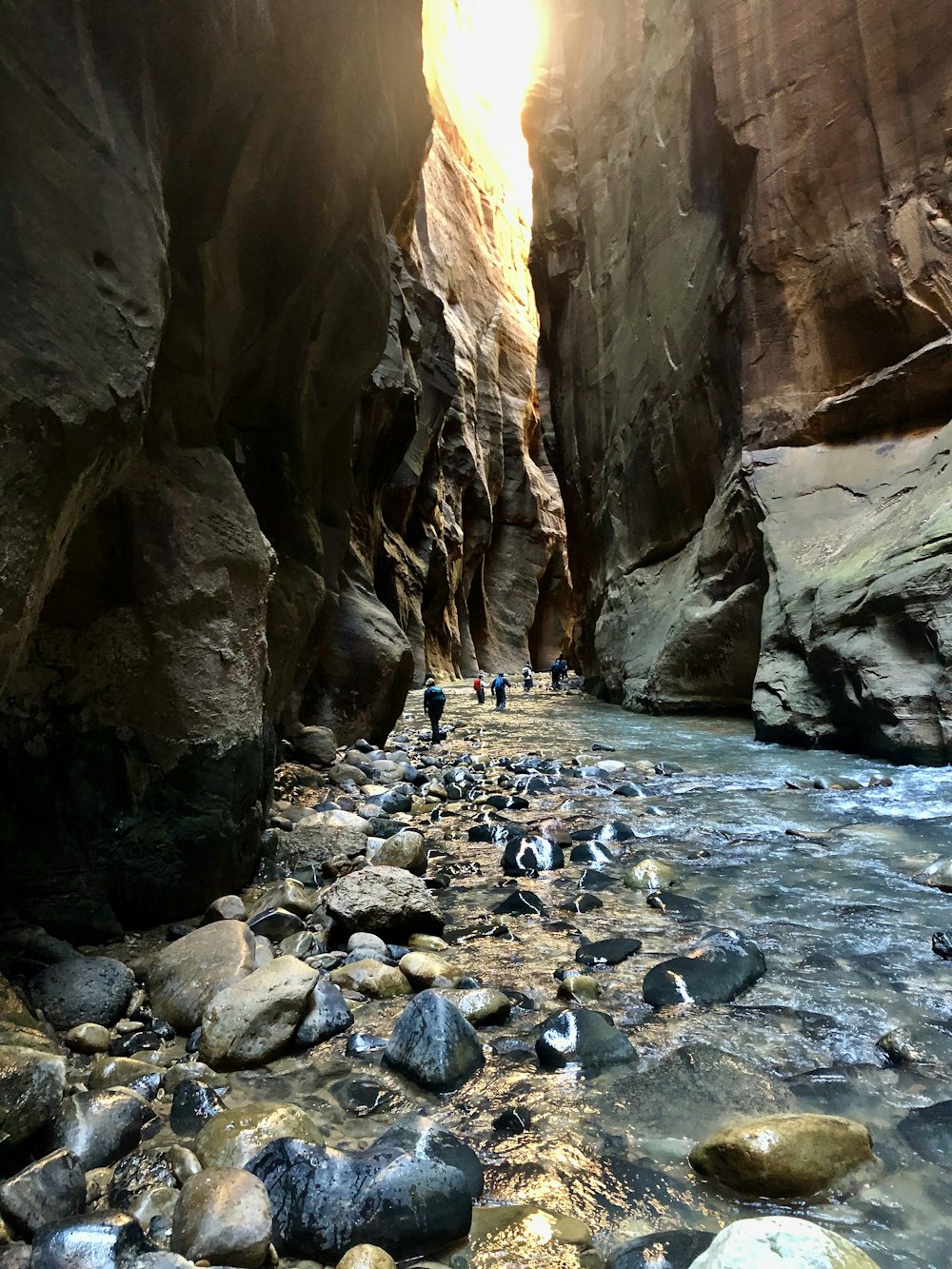 people in river between brown rocky mountains during daytime