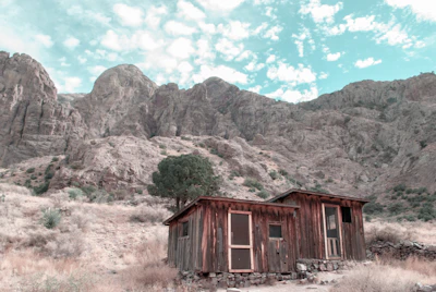 A cozy off-grid cabin surrounded by desert plants and rugged terrain.