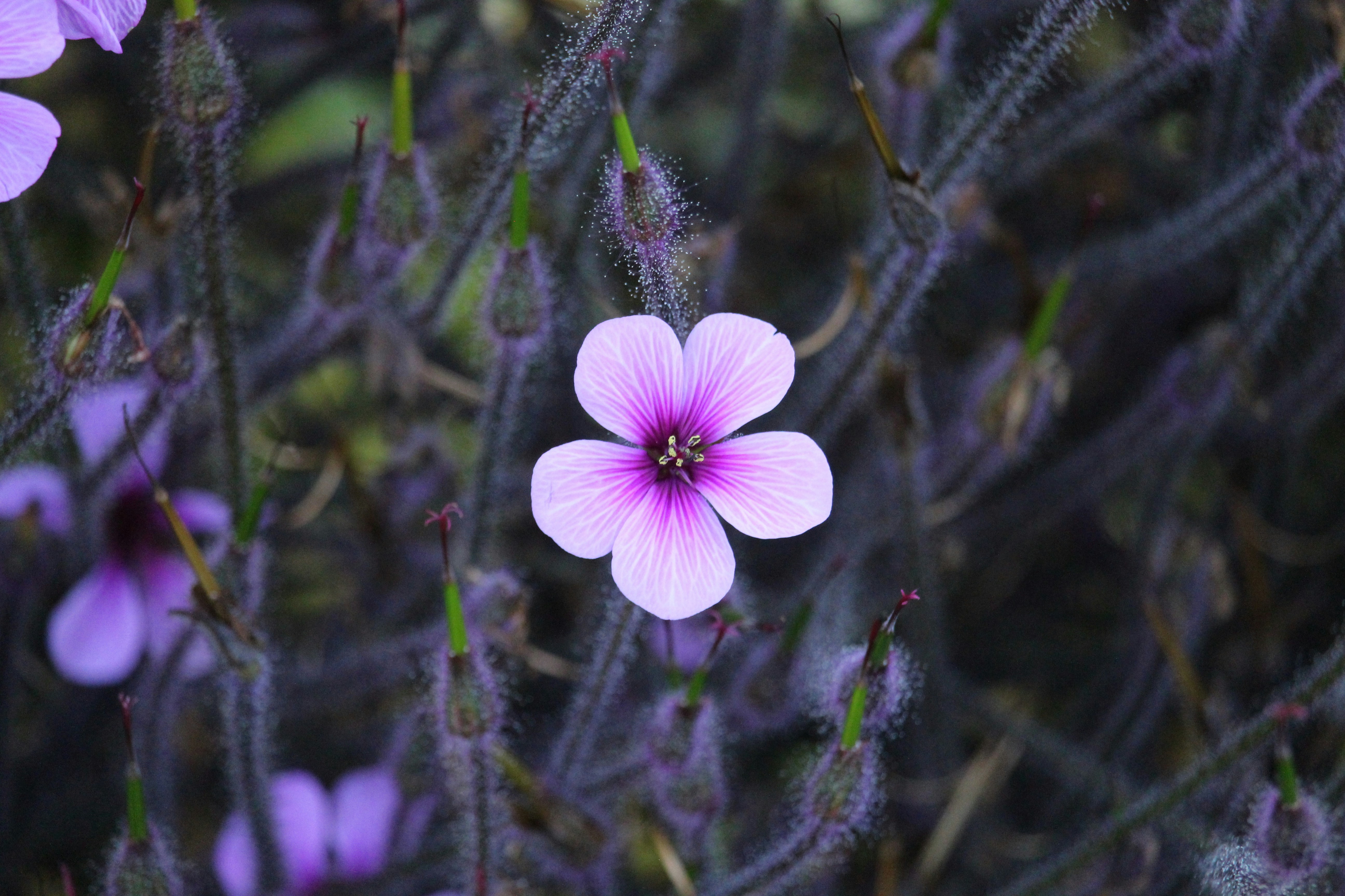 Photo by gracekjensen