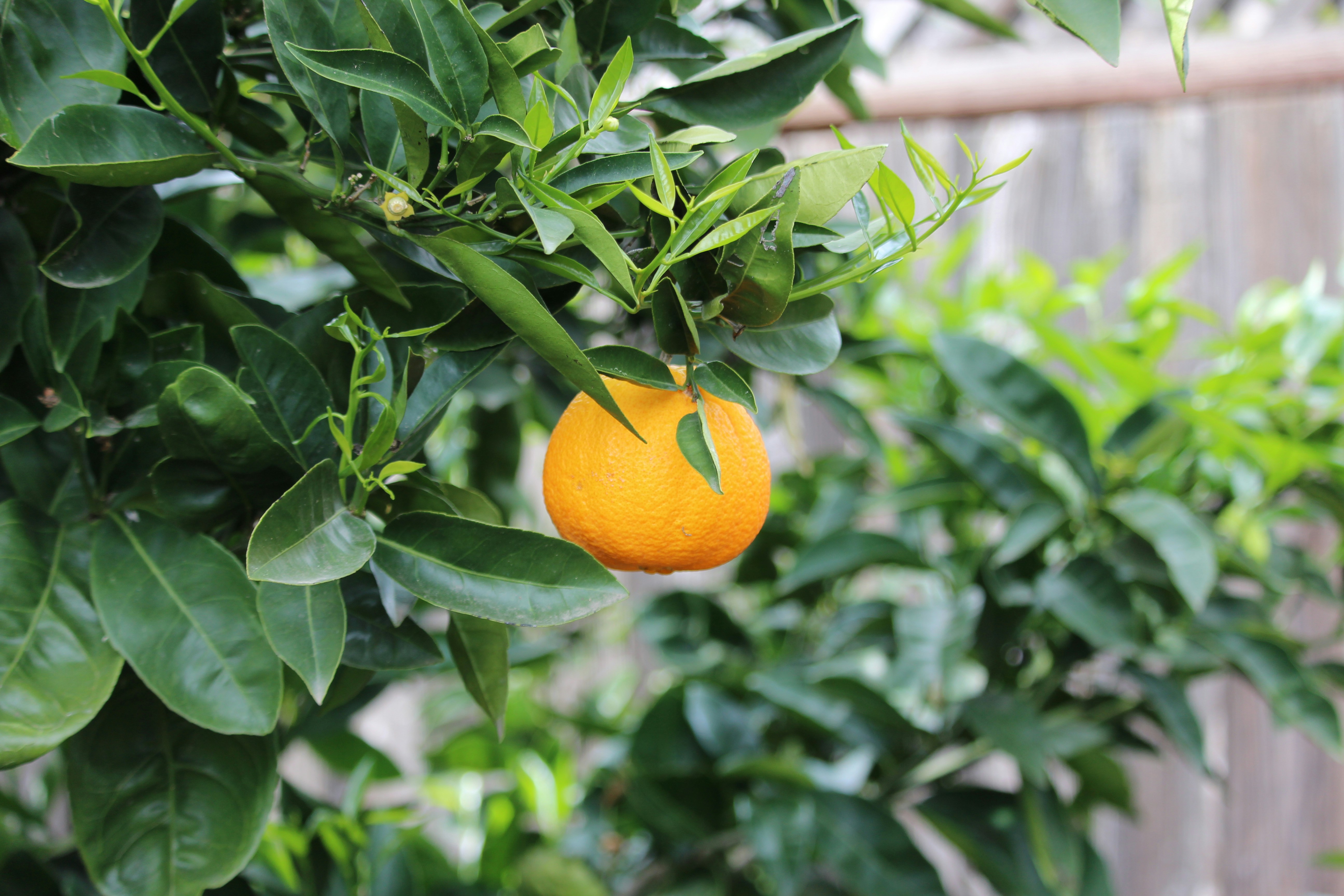 Photo by gracekjensen