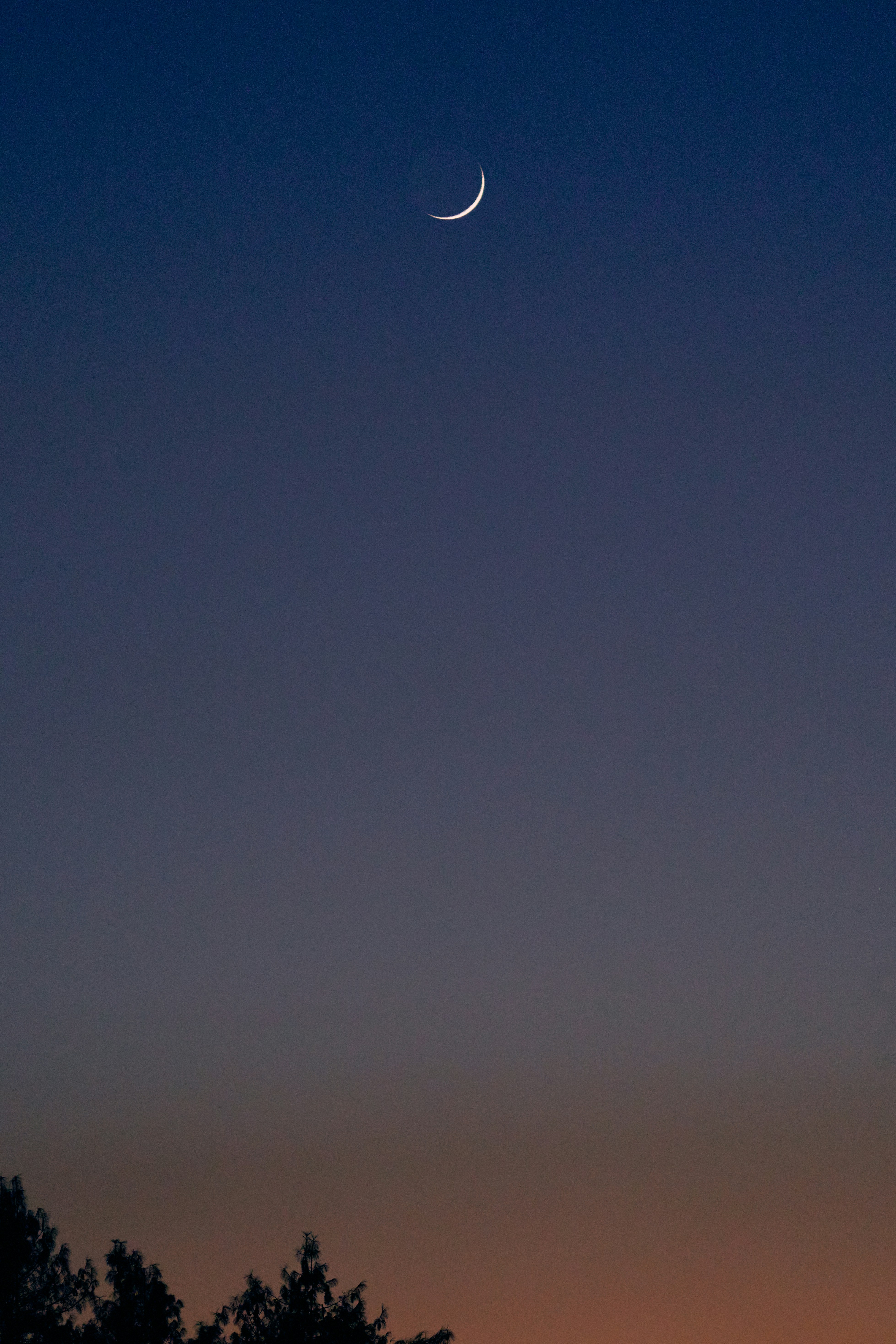 Photo by suicide_chewbacca