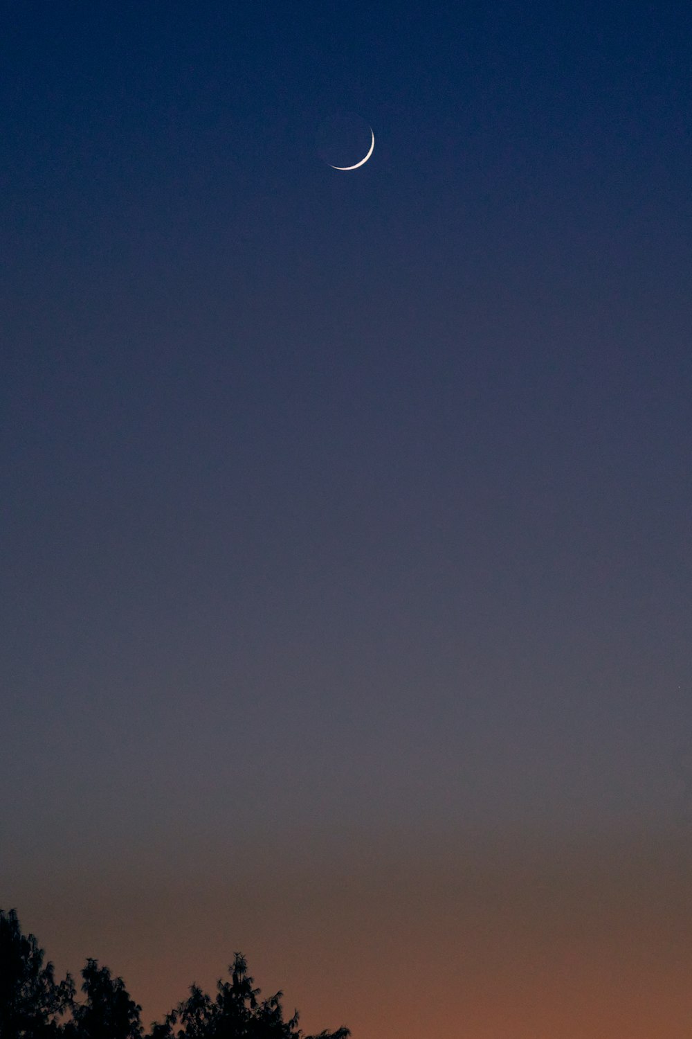 blue sky with white clouds