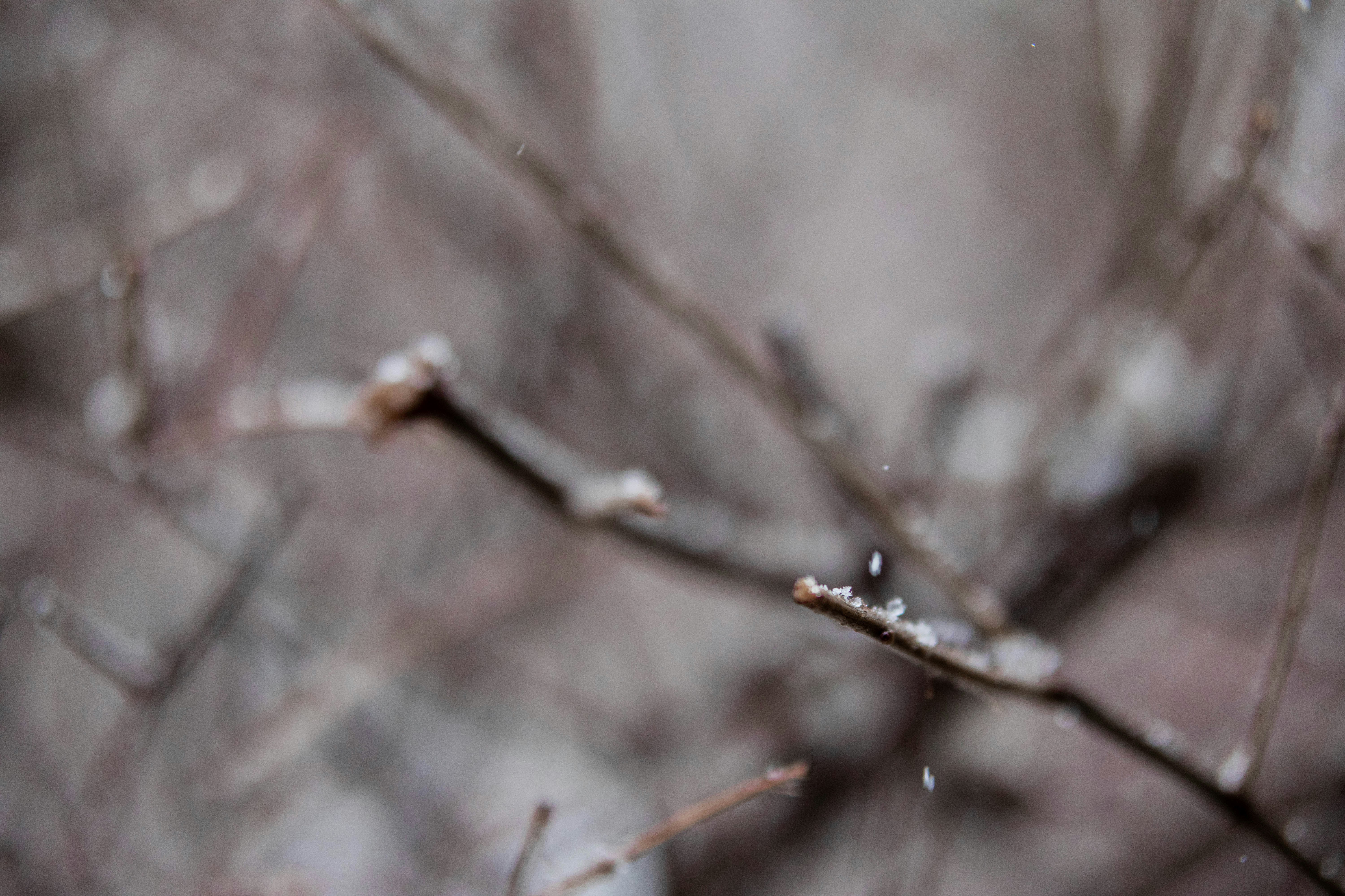 Photo by imaging_joy