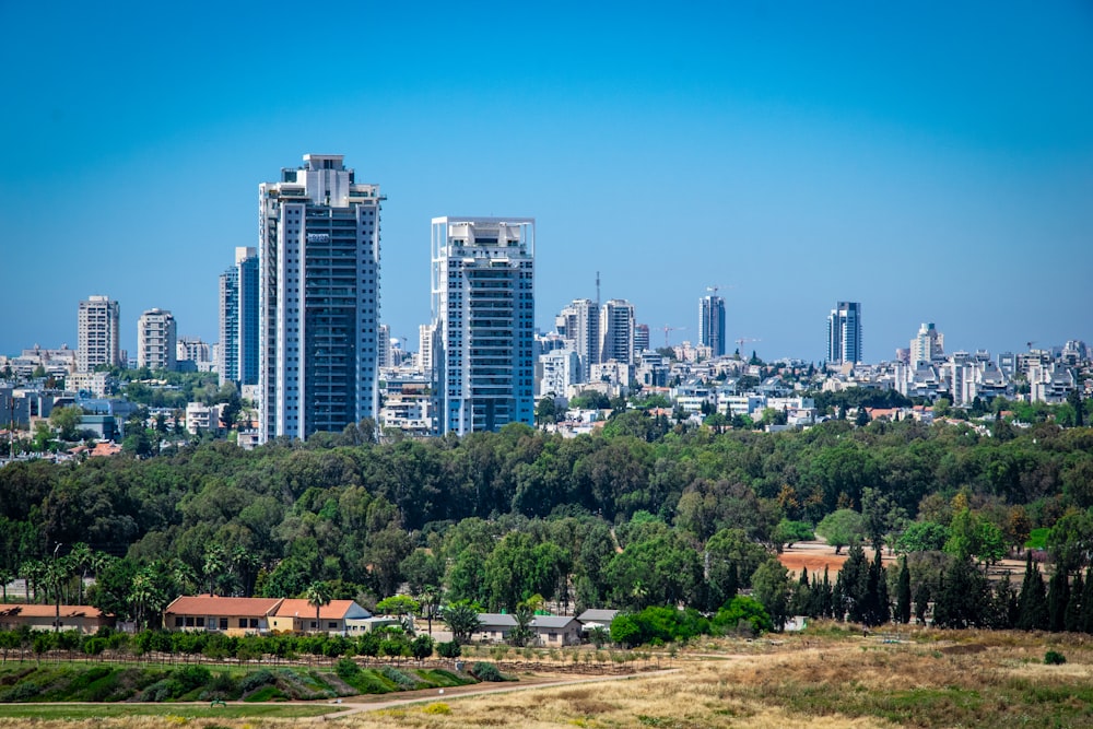 city buildings under blue sky during daytime