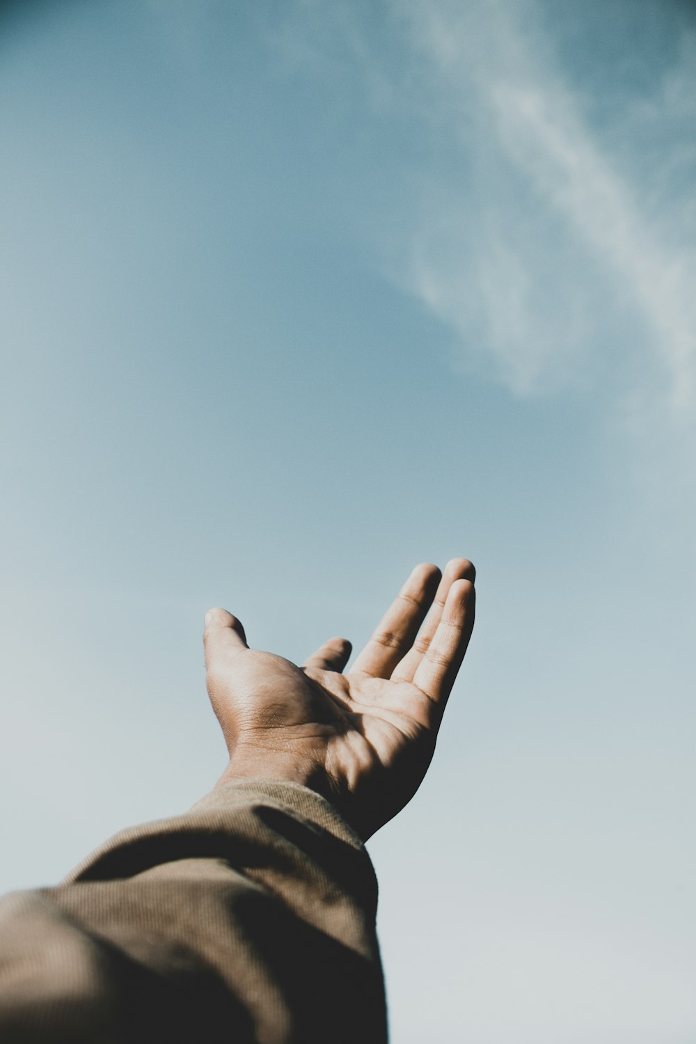 persons left hand under blue sky during daytime