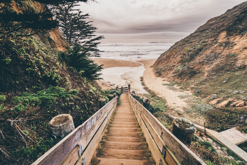 brown wooden bridge on brown sand during daytime