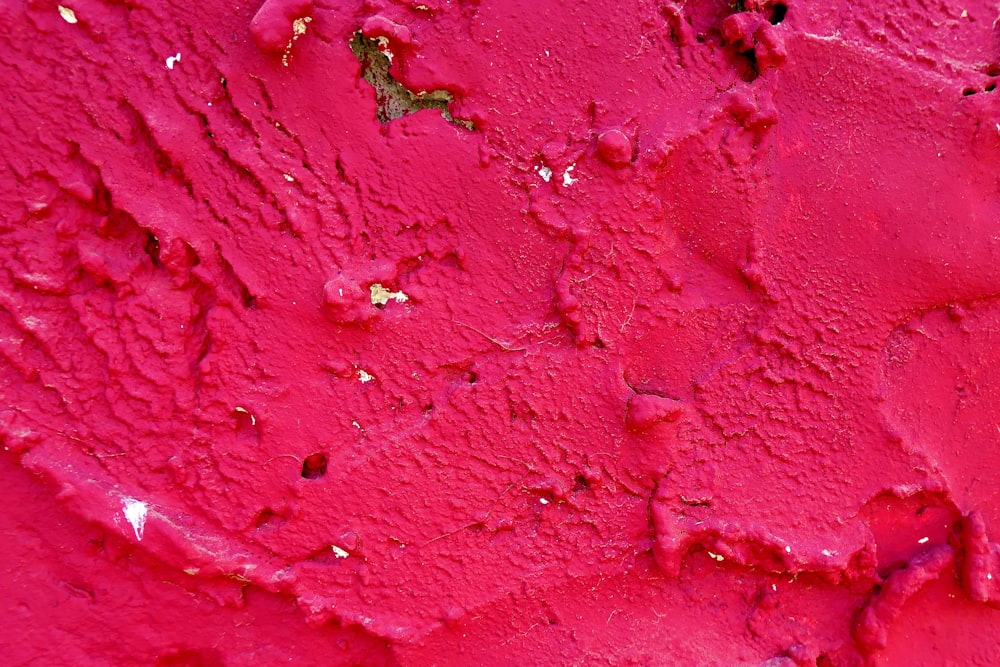 red powder in close up photography