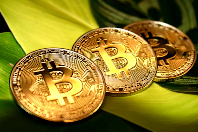 Small Town Boom: America's Fastest Growing Suburbs and What It Means for Crypto