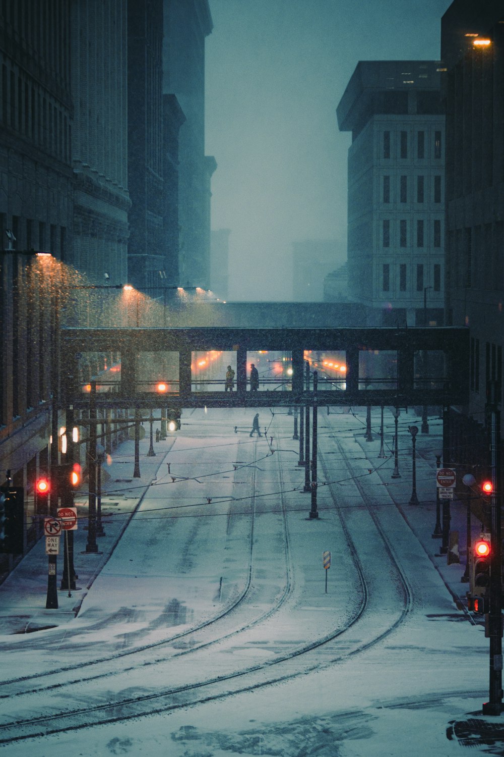 people walking on pedestrian lane during night time