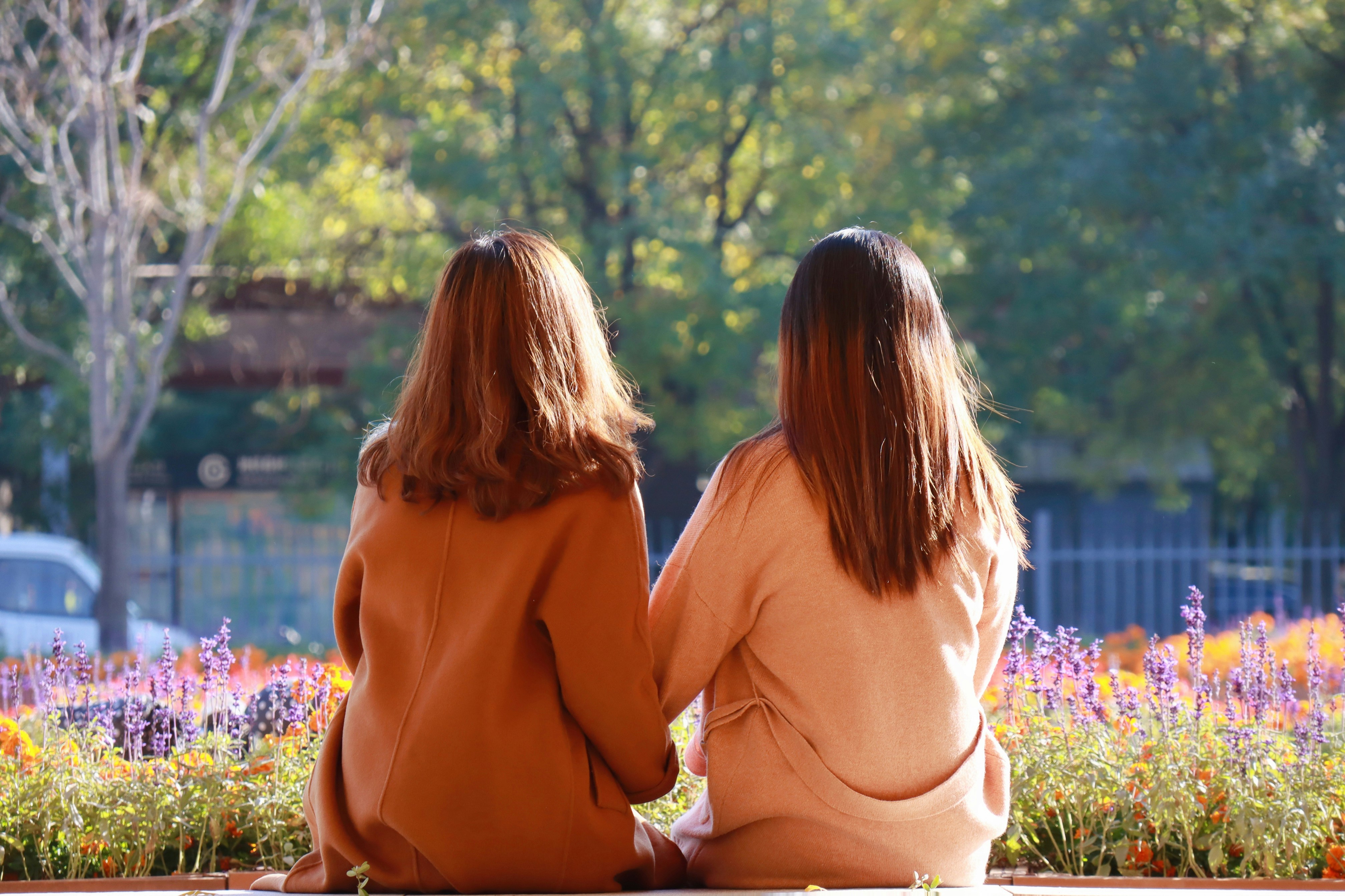 2 women sitting on grass field during daytime