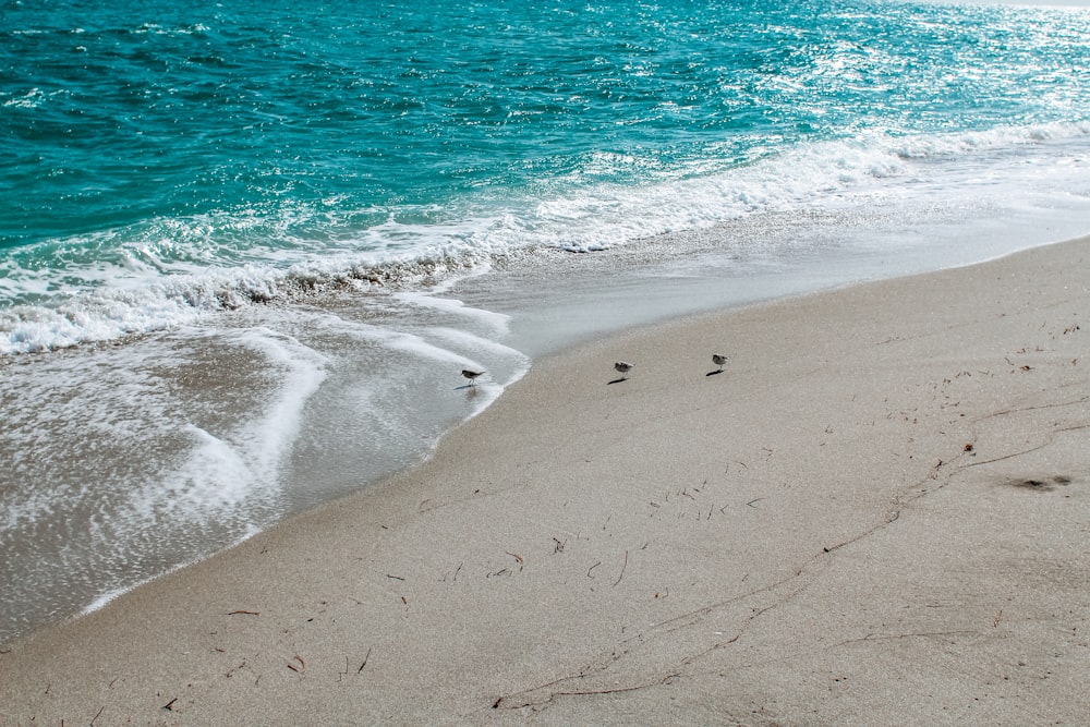 sea waves crashing on shore during daytime