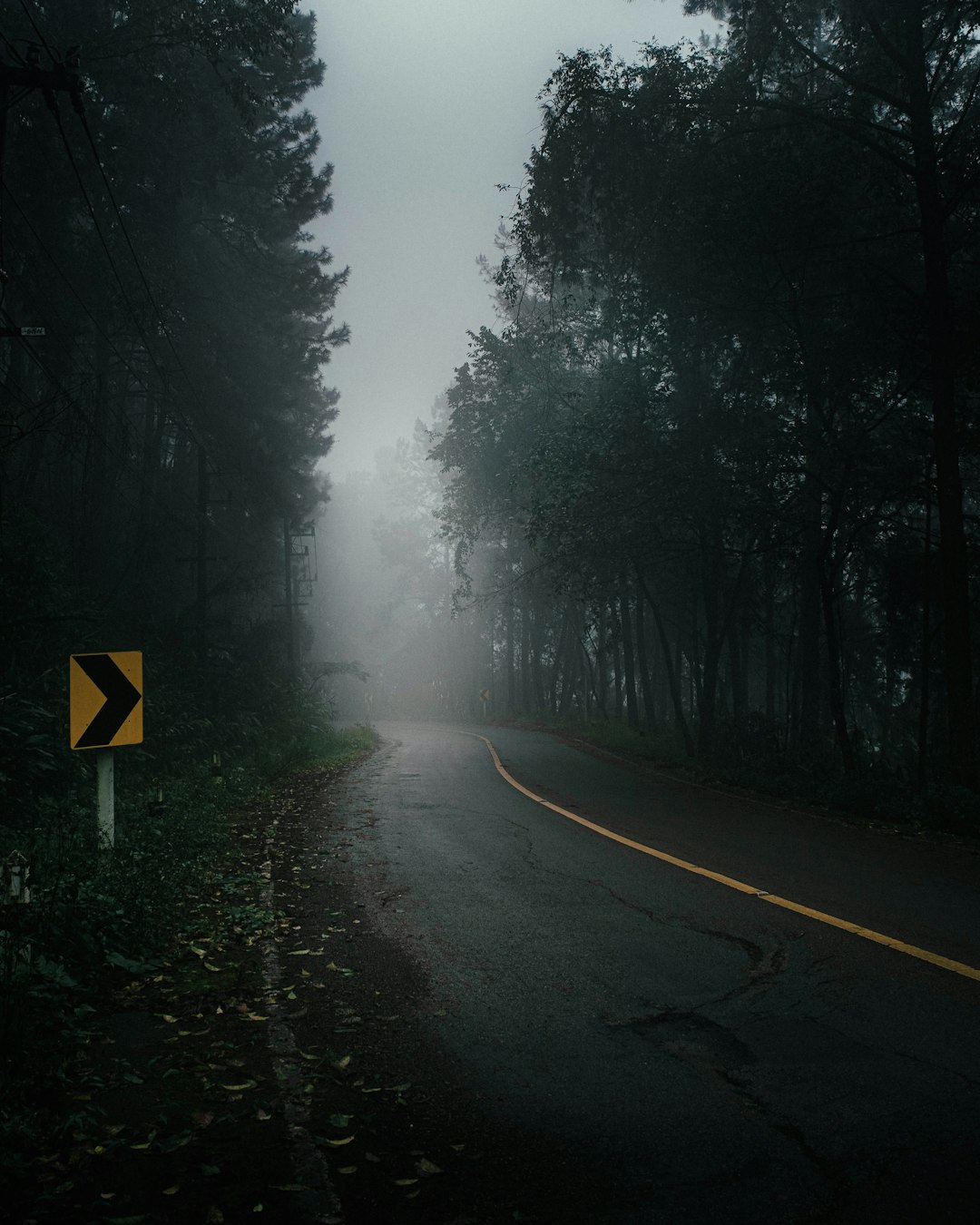 yellow and black road sign on road between trees covered with fog