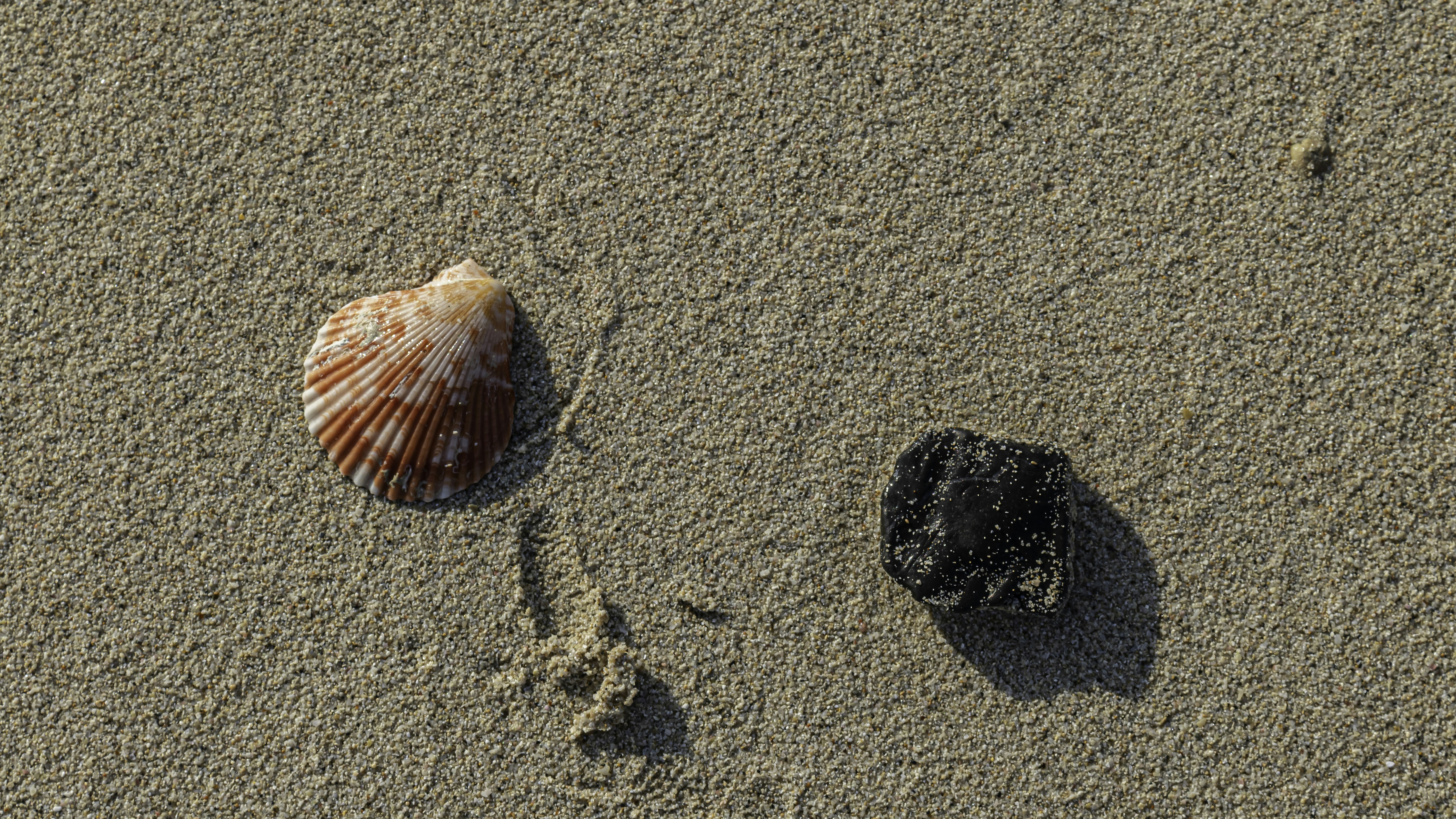 Photo by mishaalzahed