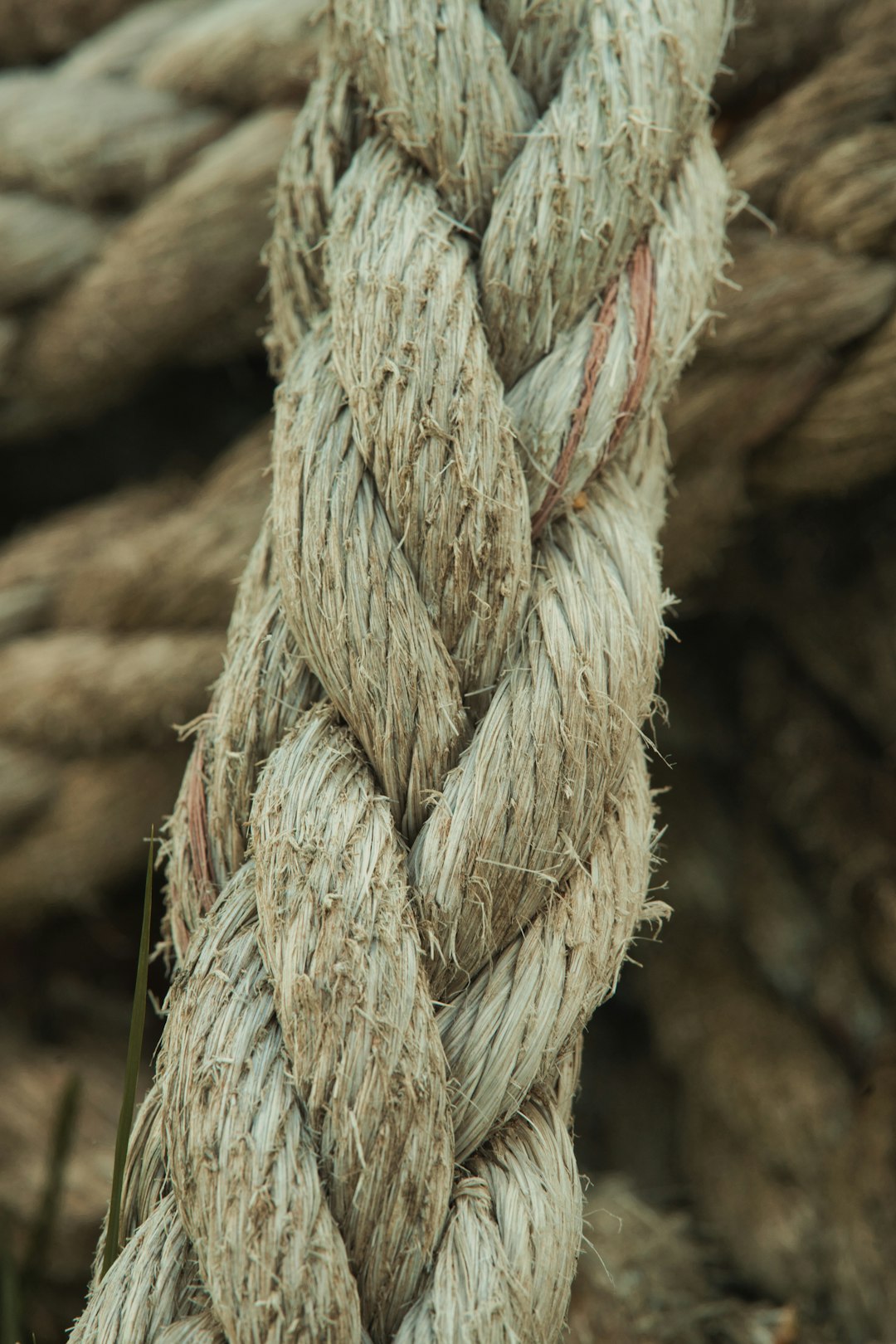  brown rope in close up photography rope