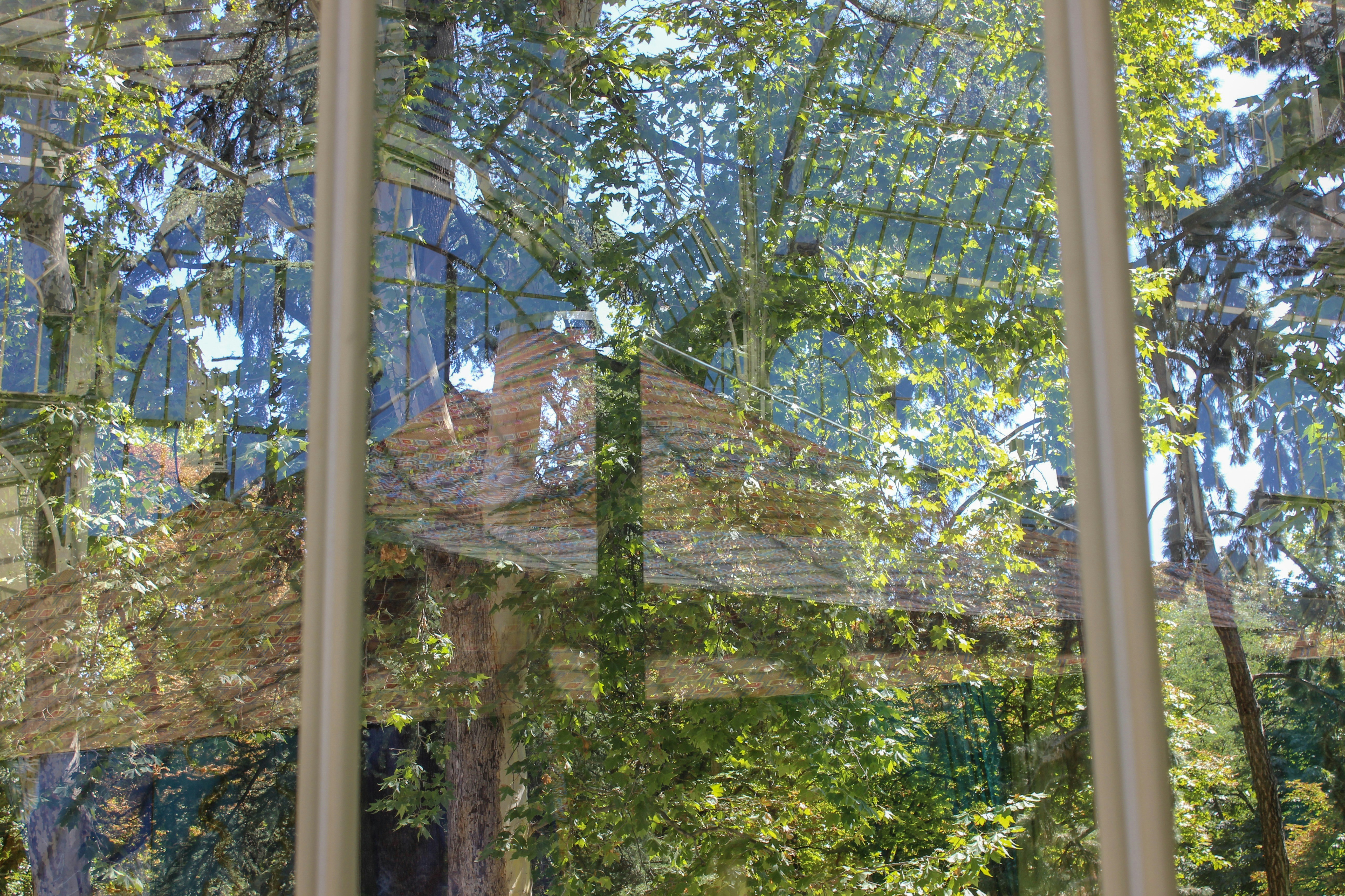 Photo by habibamostafa