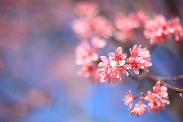 Close-up of a vibrant, eco fantasy digital art print featuring floating cherries and blooming flowers.