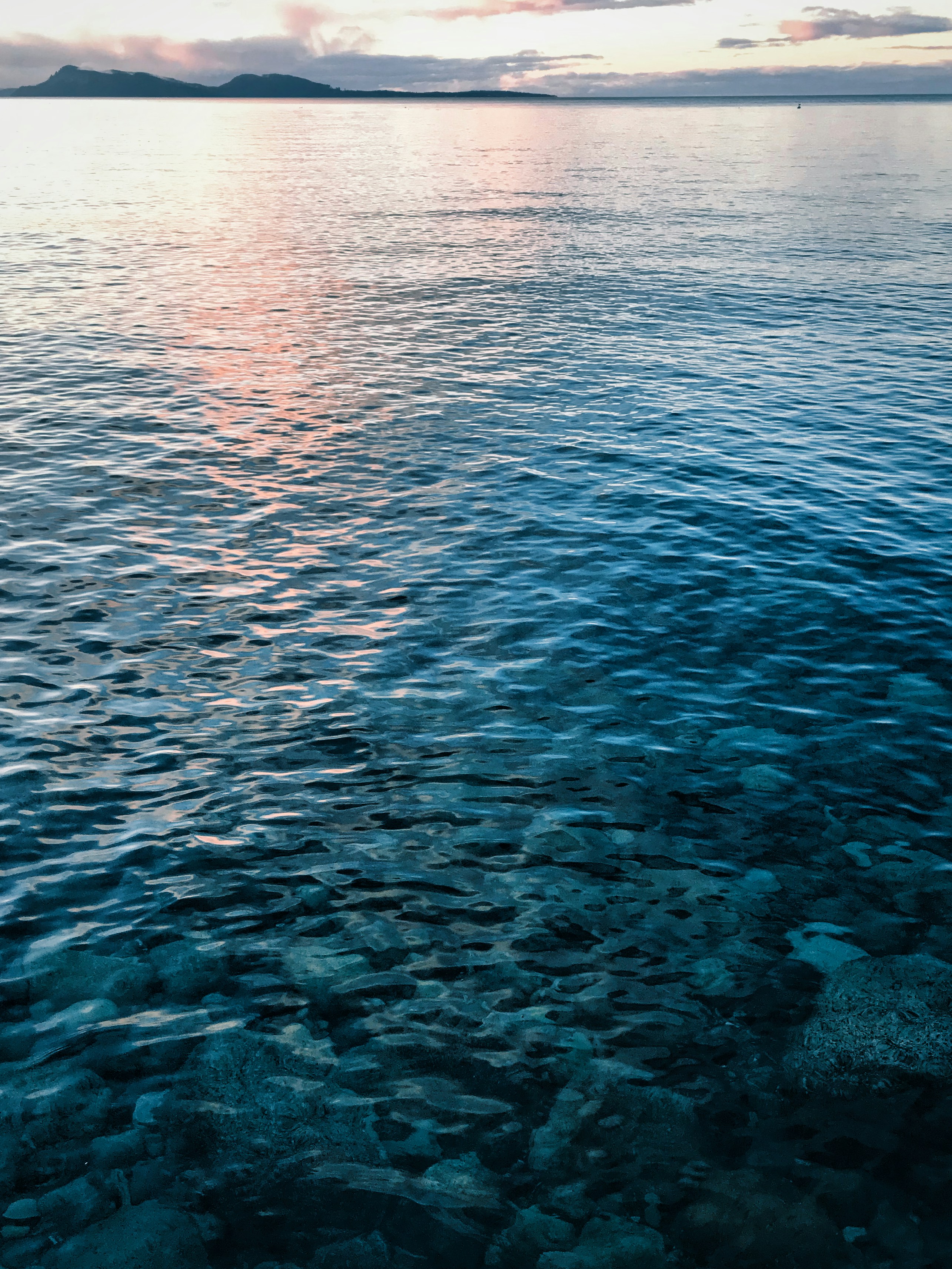 Photo by rajivperera