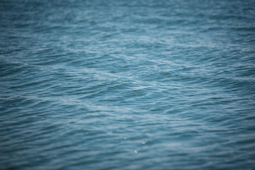 blue body of water during daytime