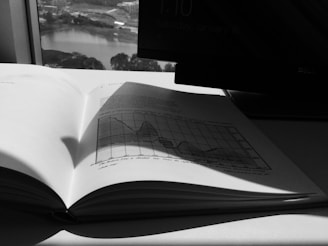 An open book with a chart on one of its pages lies on a desk. The image is in black and white, with shadows cast across the book. Outside the window, a blurred view of buildings, trees, and water can be seen. Part of a computer monitor is visible beside the book.