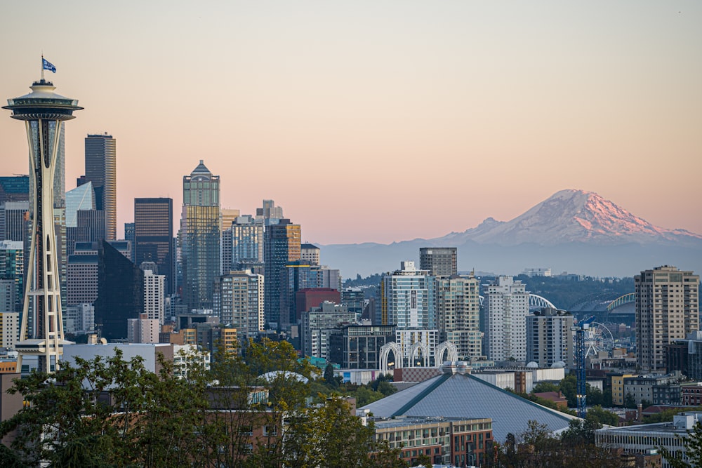 city skyline during day time