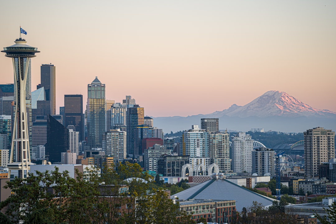 city skyline during day time, Seattle skyline with Mt. Rainier in background.