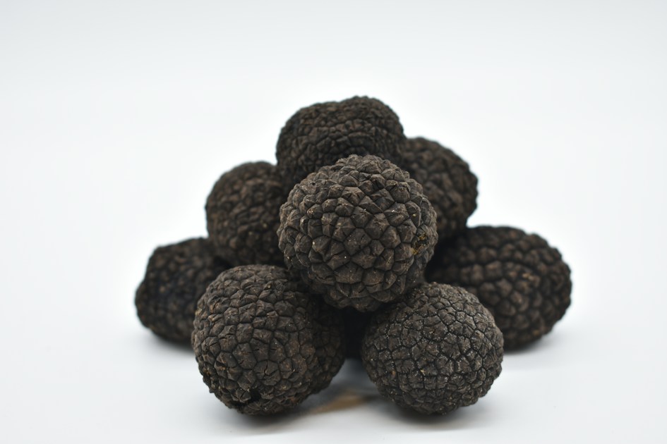 Truffes noires italiennes entières empilées