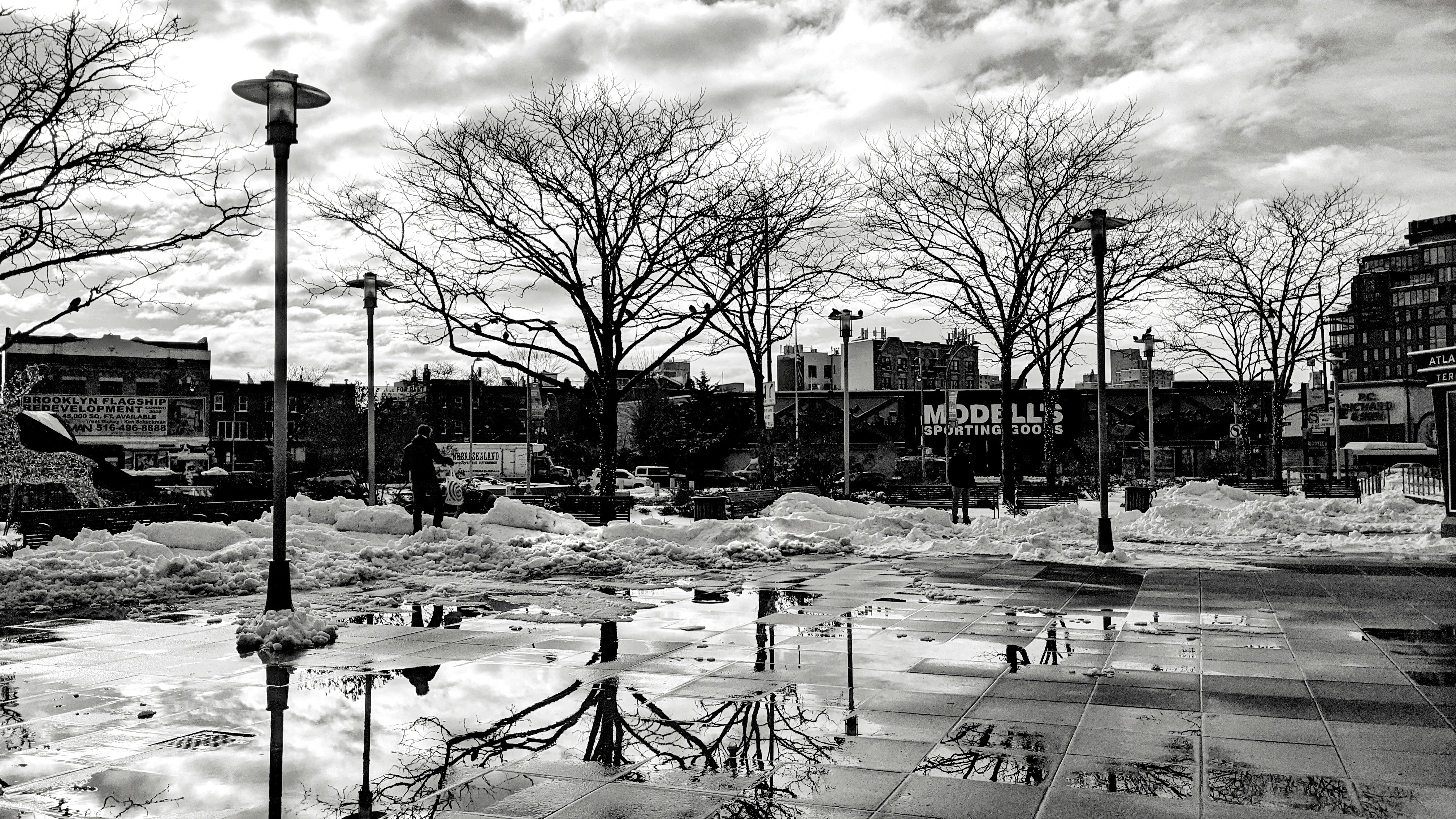 Downtown Brooklyn neighborhood