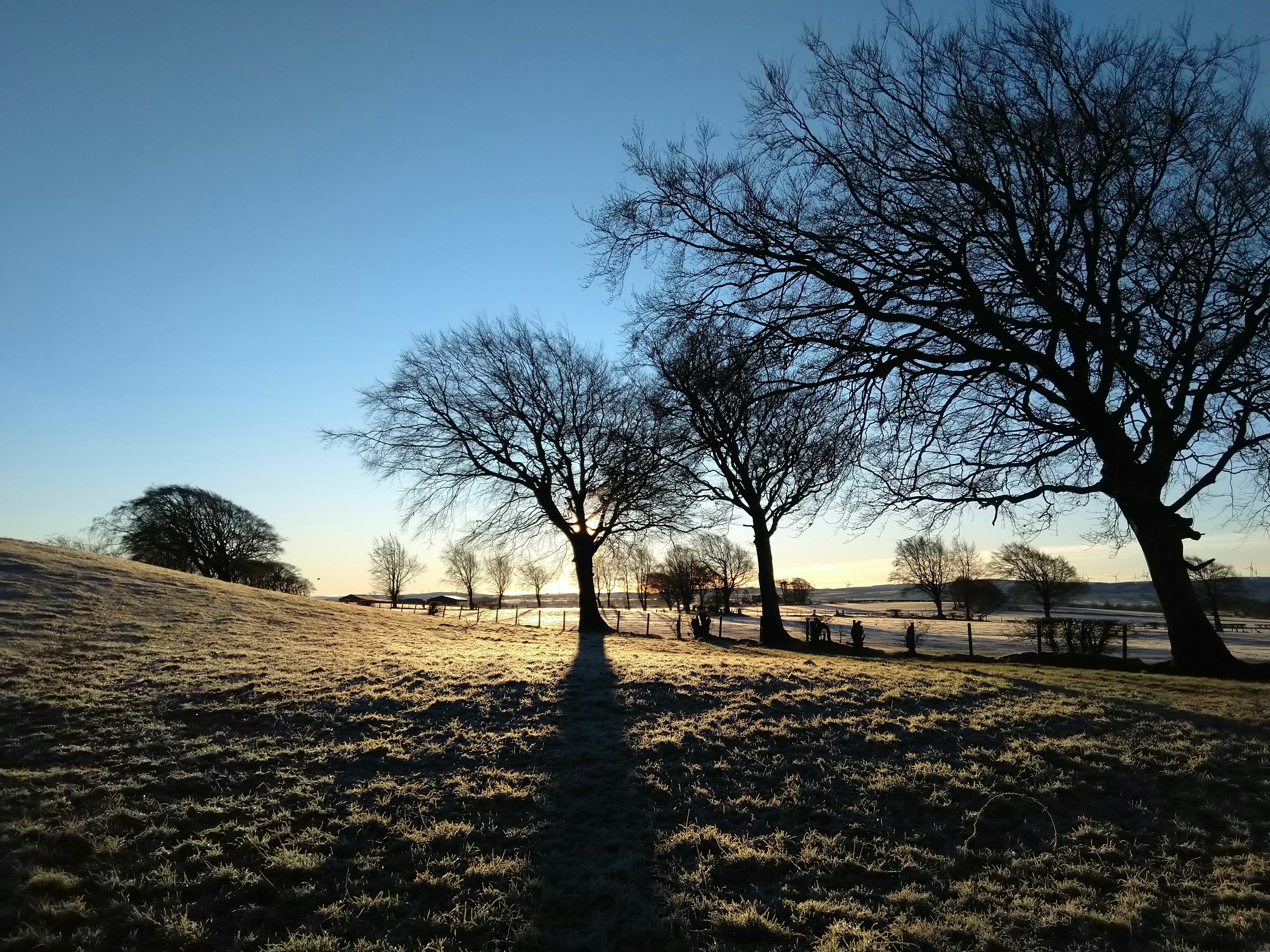 Photo by silverbirch13