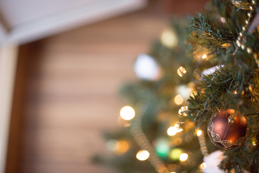 green christmas tree with string lights