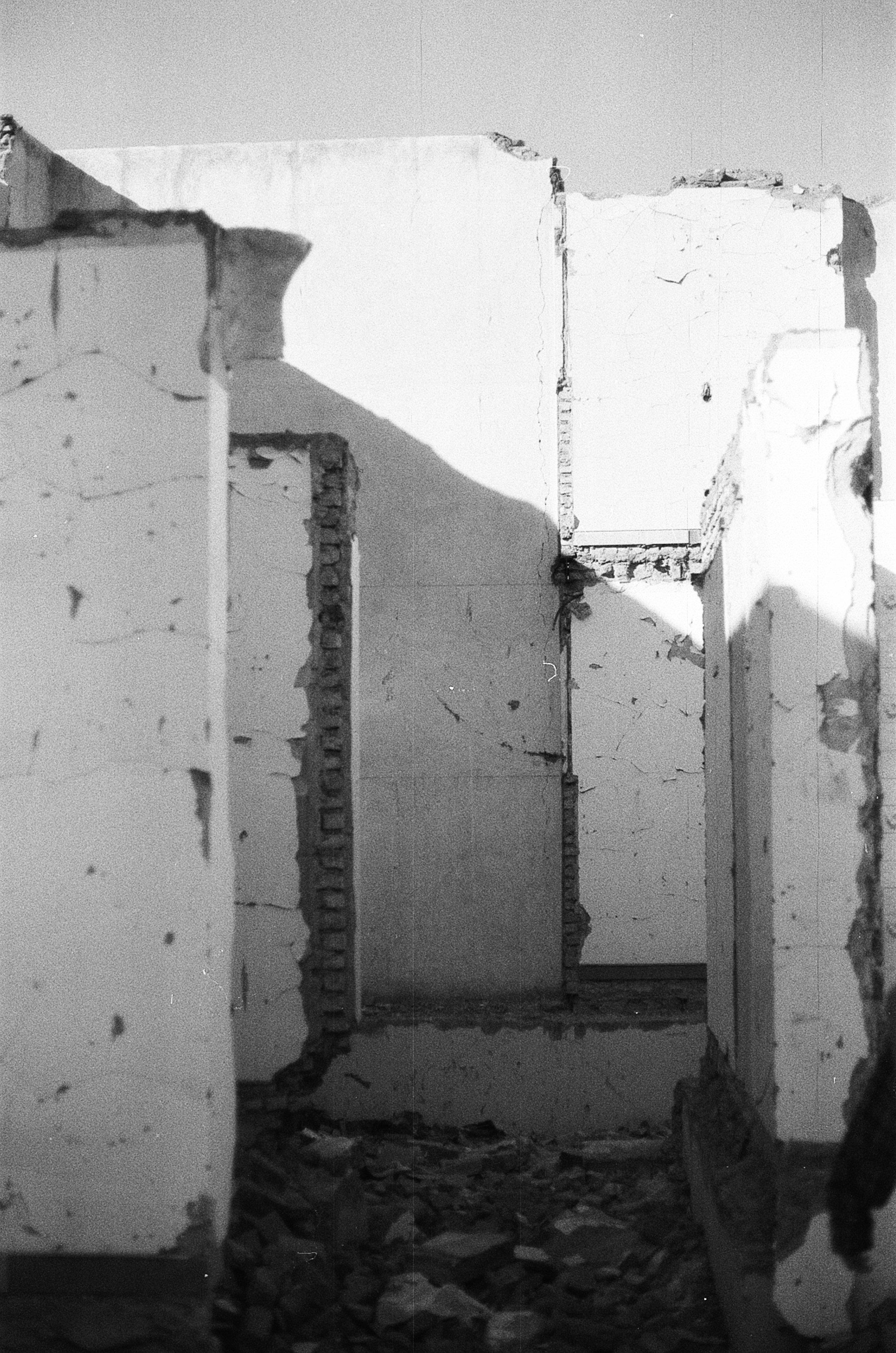 Photo by __mehdi_najjar__