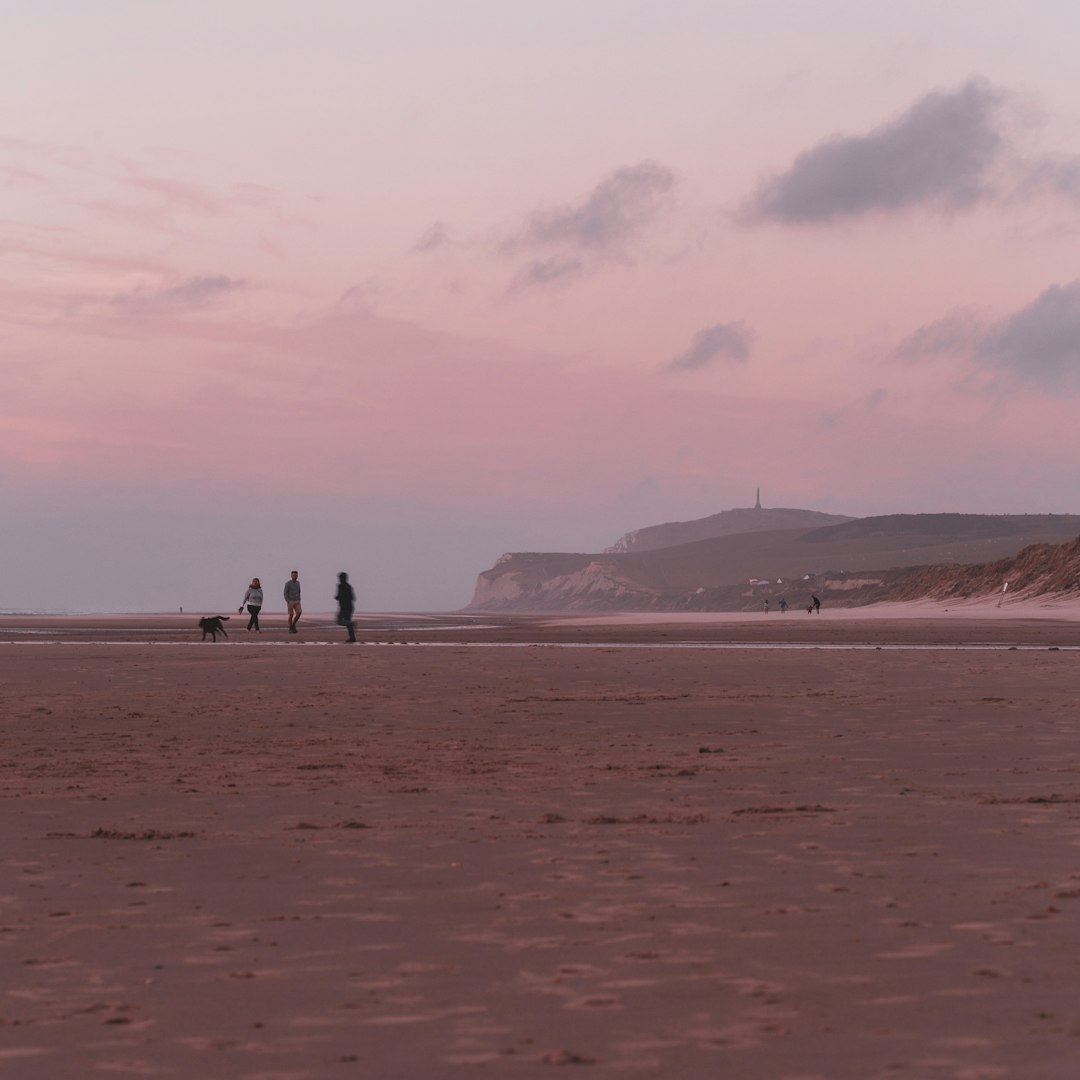 people walking on beach during daytime