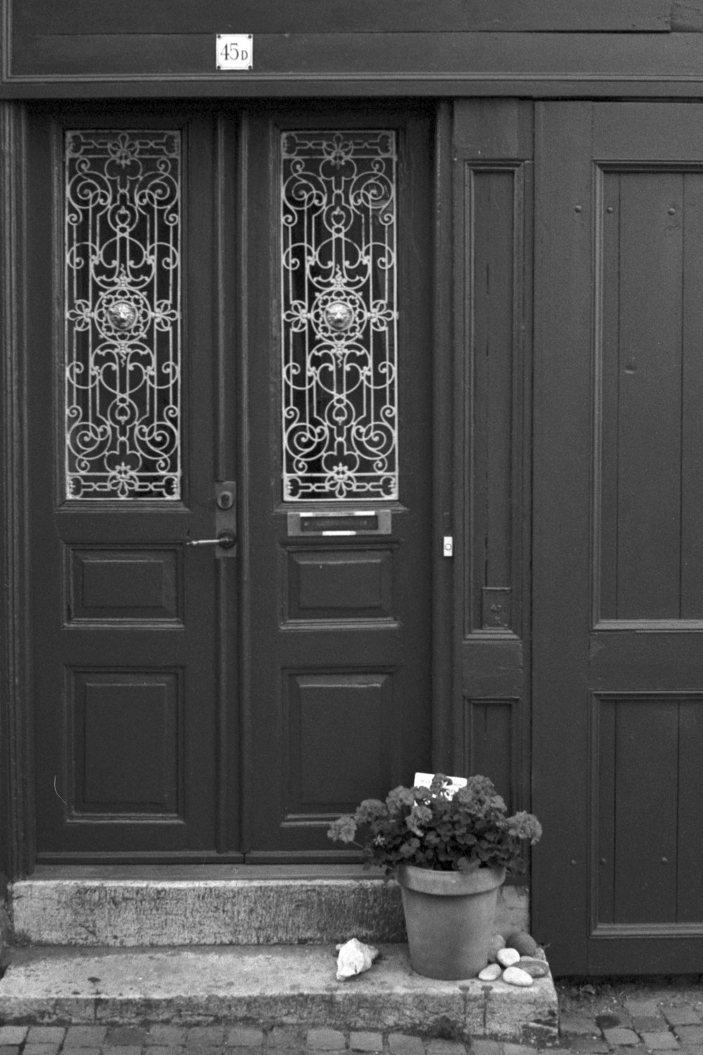 flores brancas na porta de madeira branca