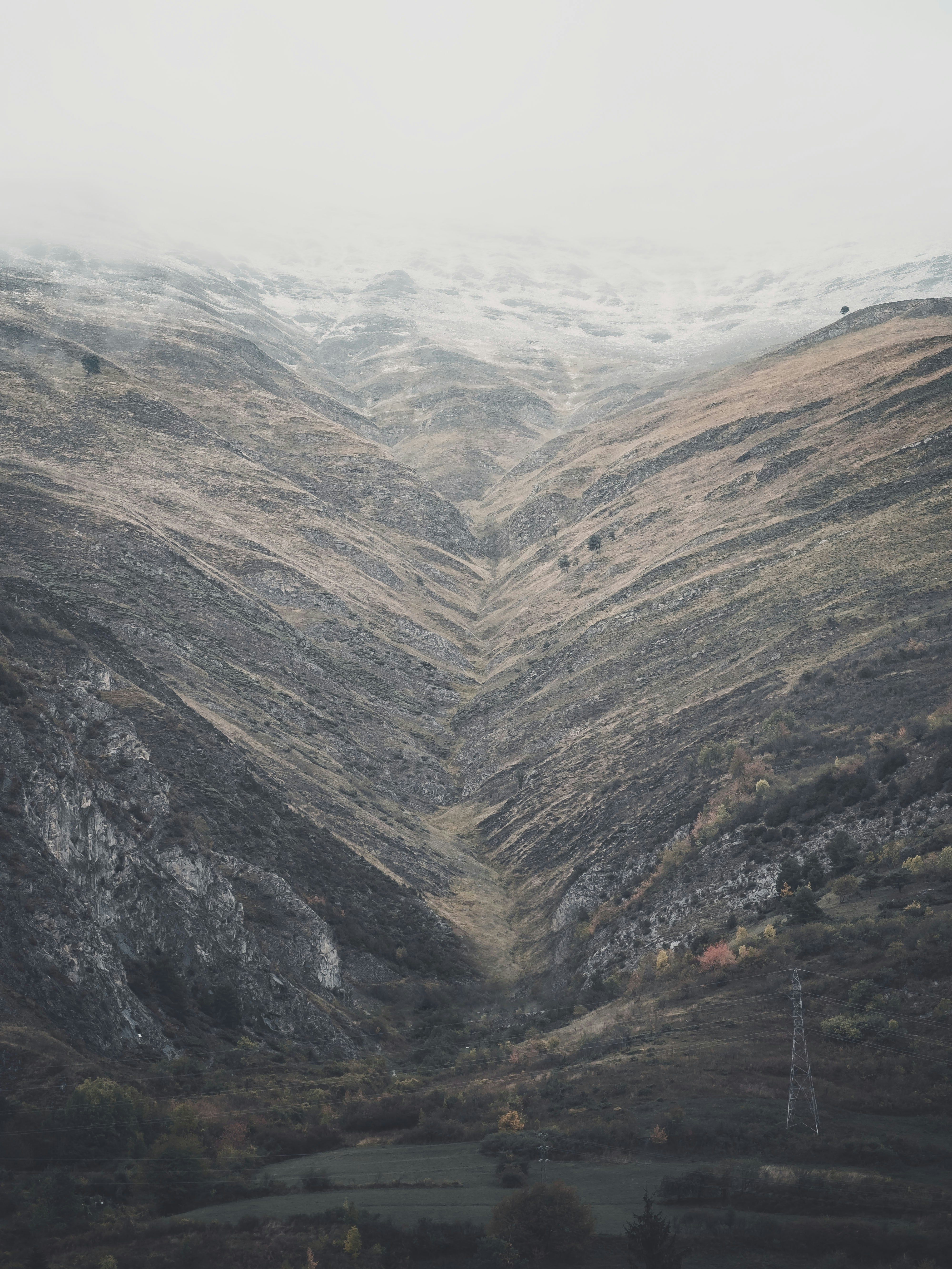 Photo by absolutocaos