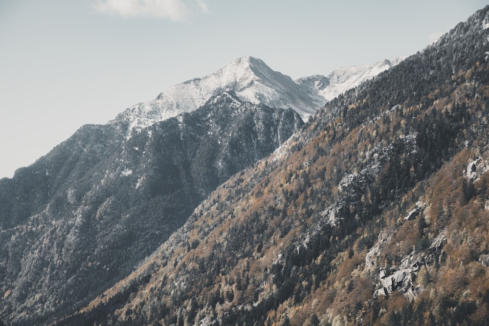 brown and white mountains under white sky during daytime