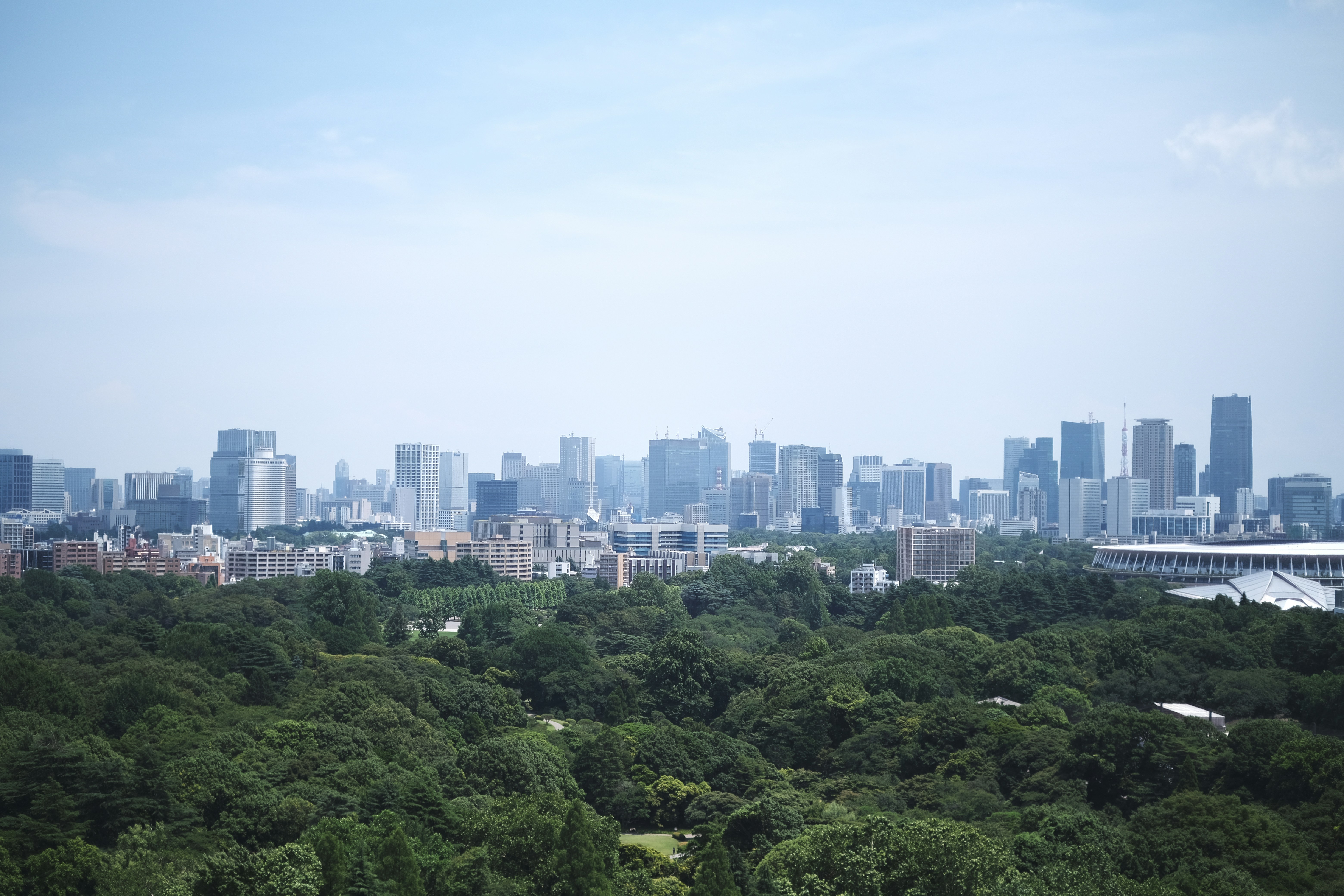 Tokyo Skyline Rooftop Garden