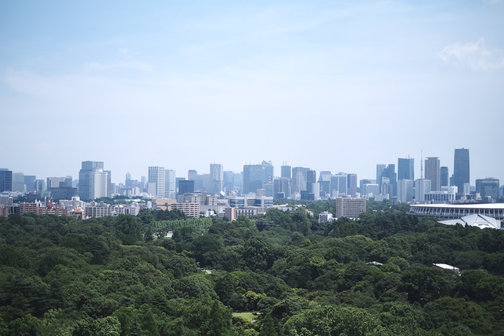 green trees near city buildings during daytime