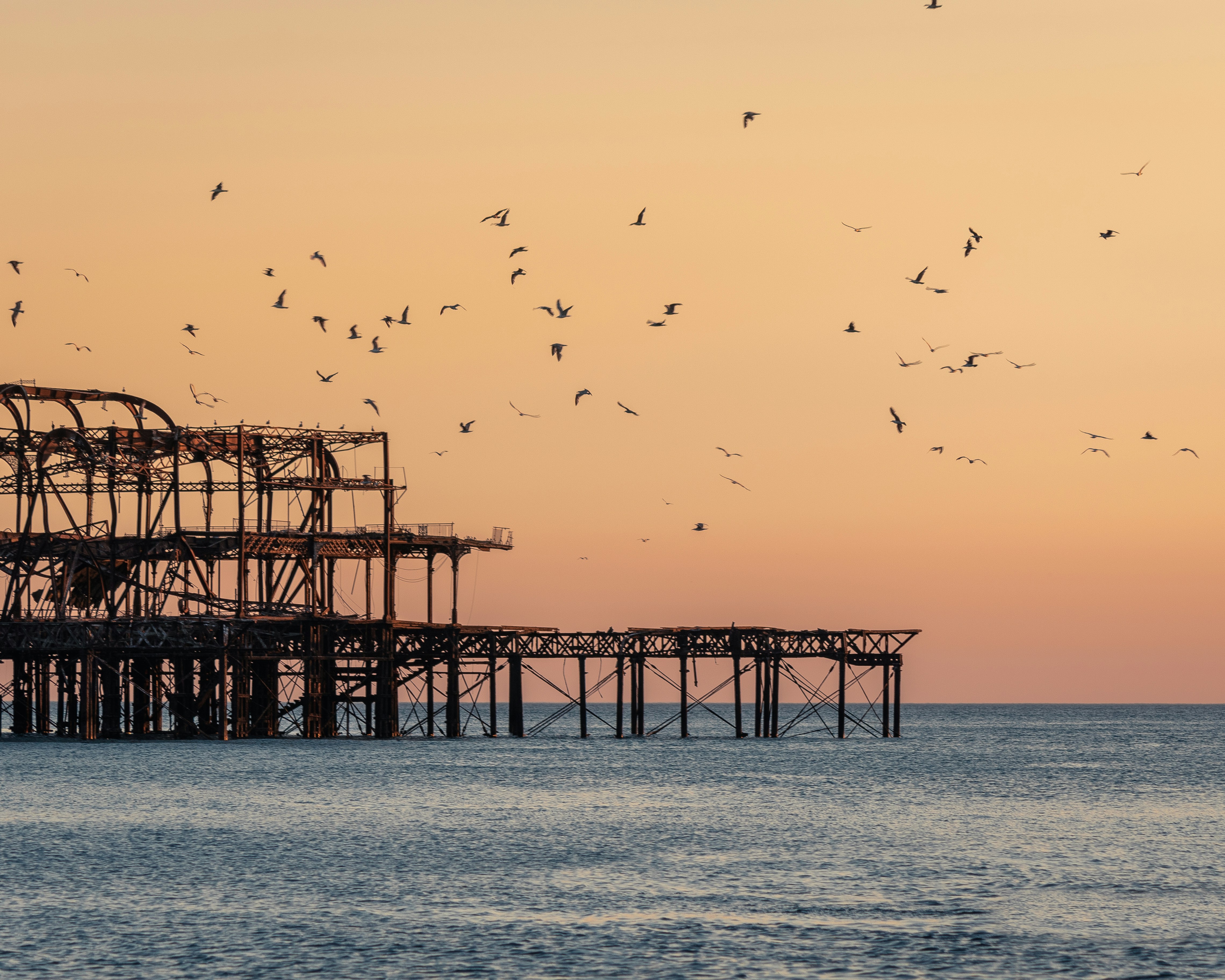 Photo by reeganfraser