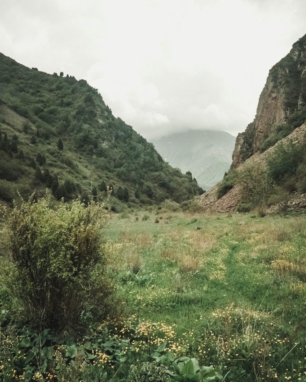 Champ d’herbe verte et montagne pendant la journée