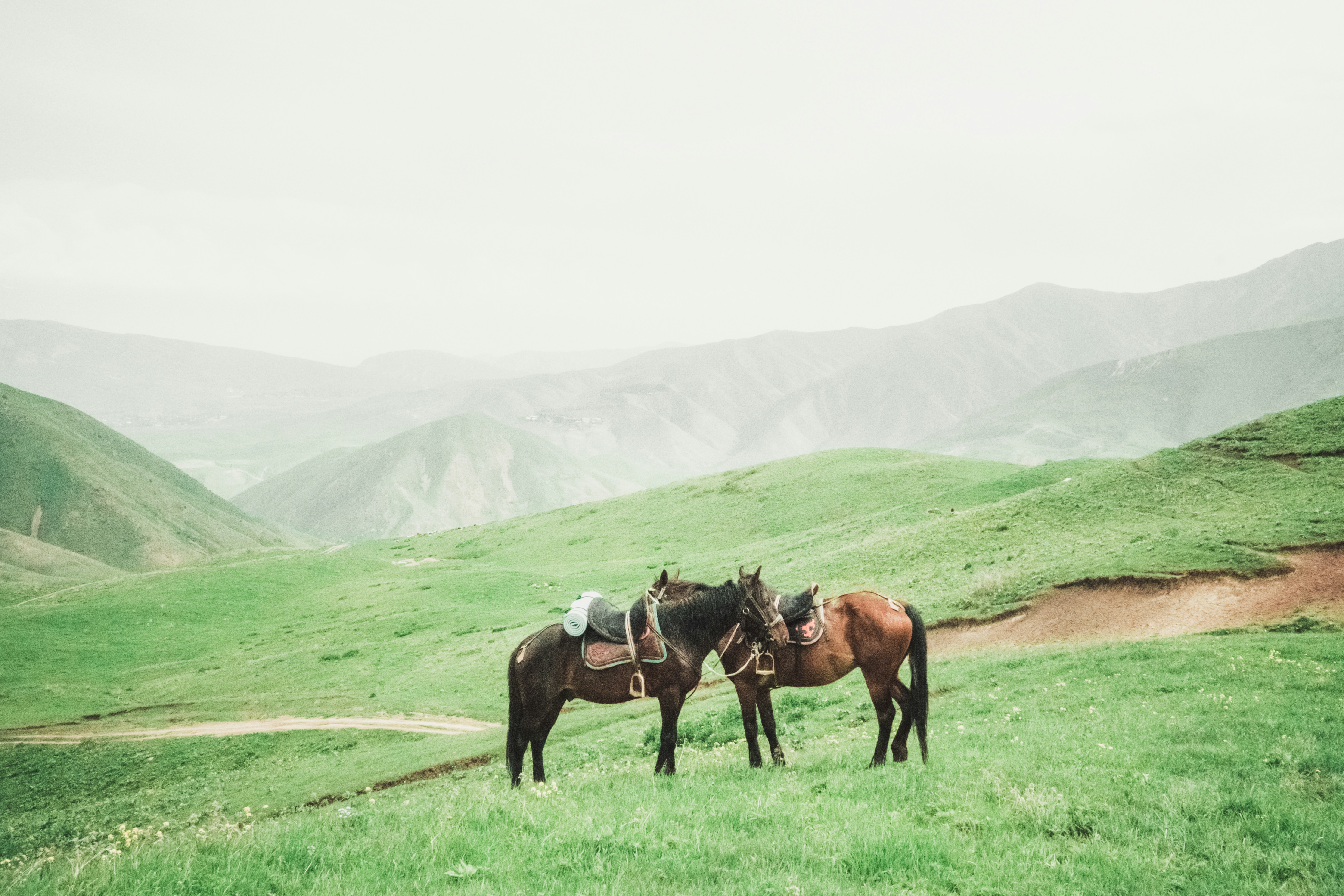 10 Horse Riding Tips for Riding Confidently on Hills