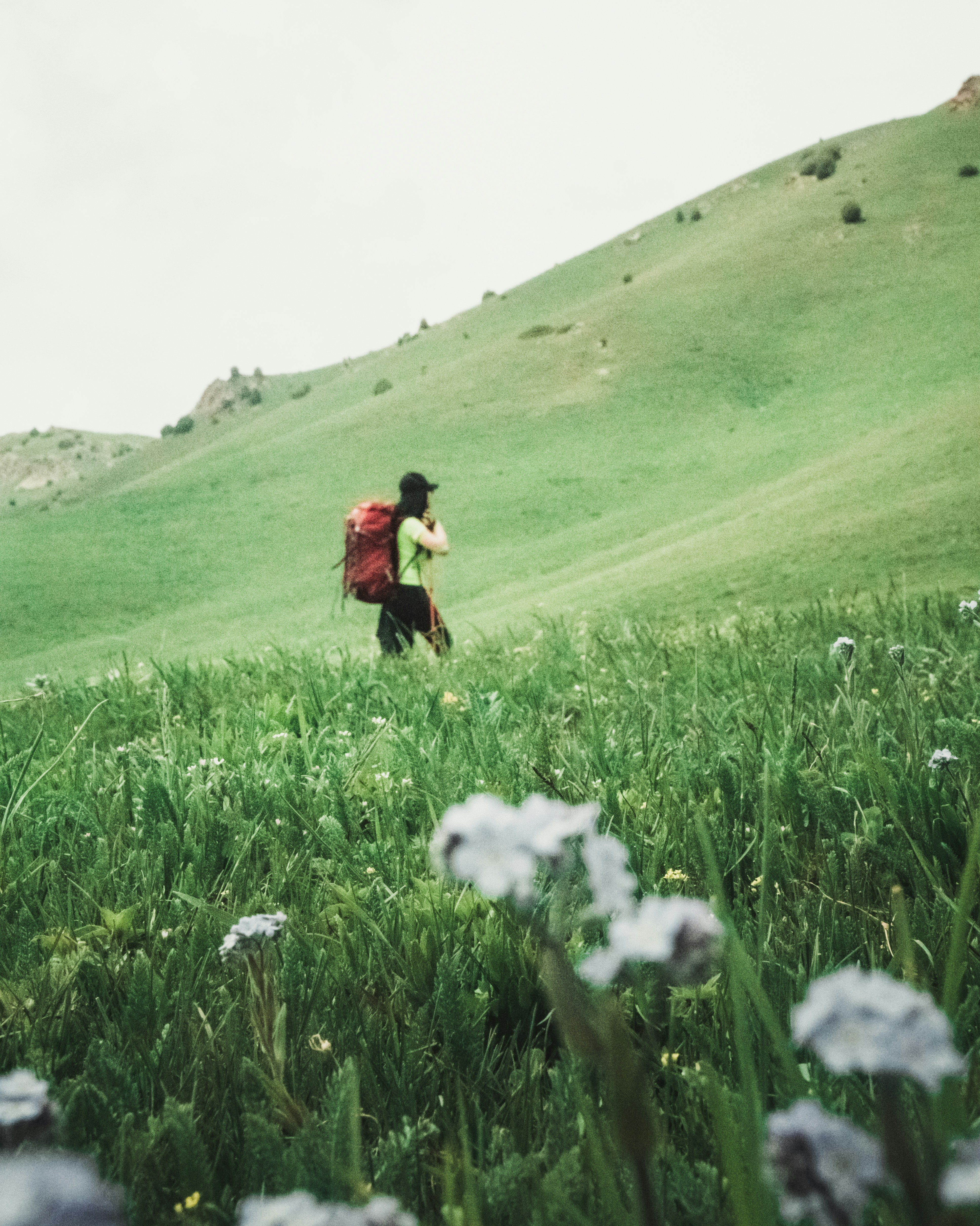 Photo by asilbekovadilet