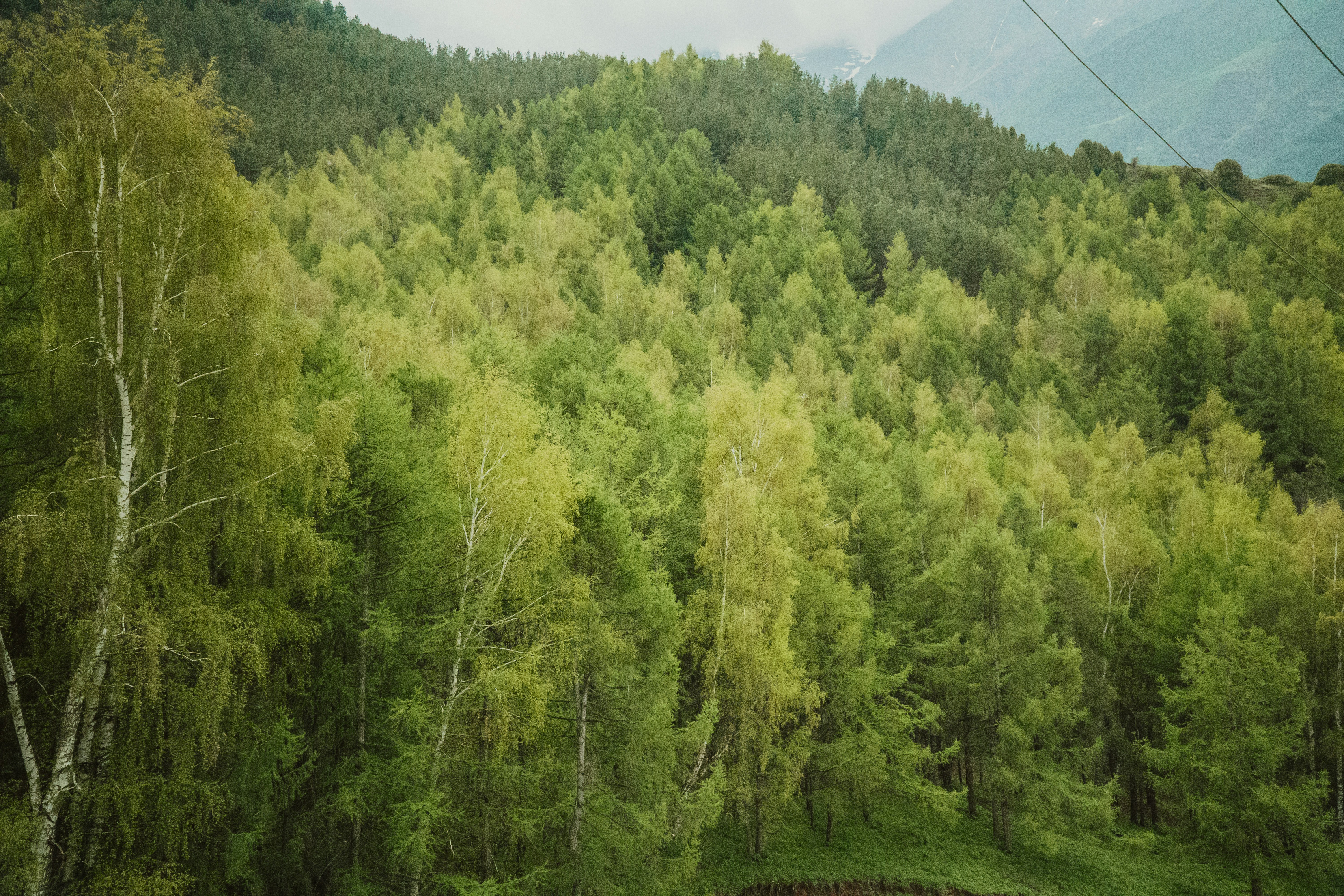 Photo by asilbekovadilet